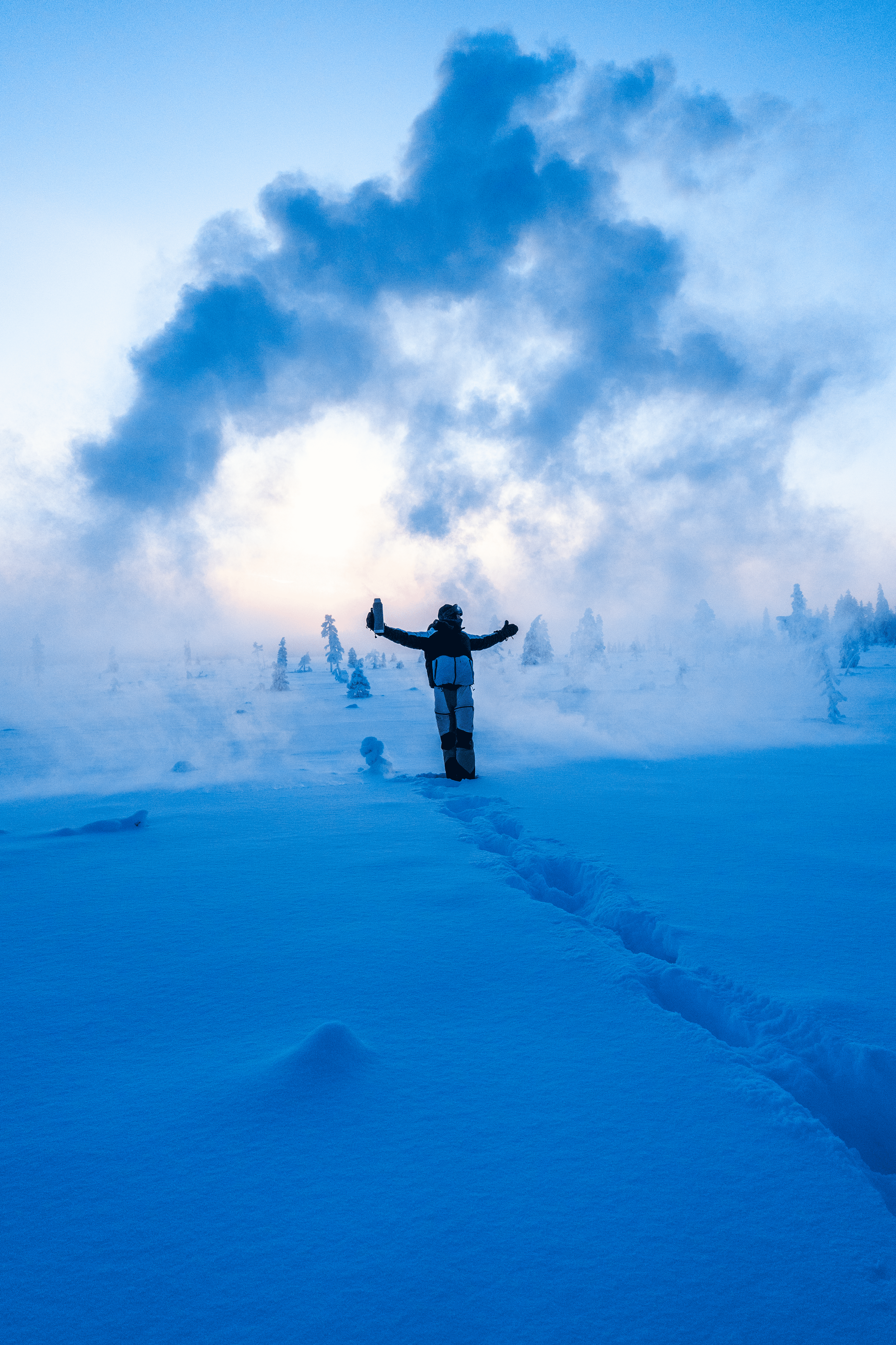 Persona en la nieve con los brazos extendidos, con un árbol en la mano, en un paisaje nevado rodeado de árboles y con el cielo nublado.