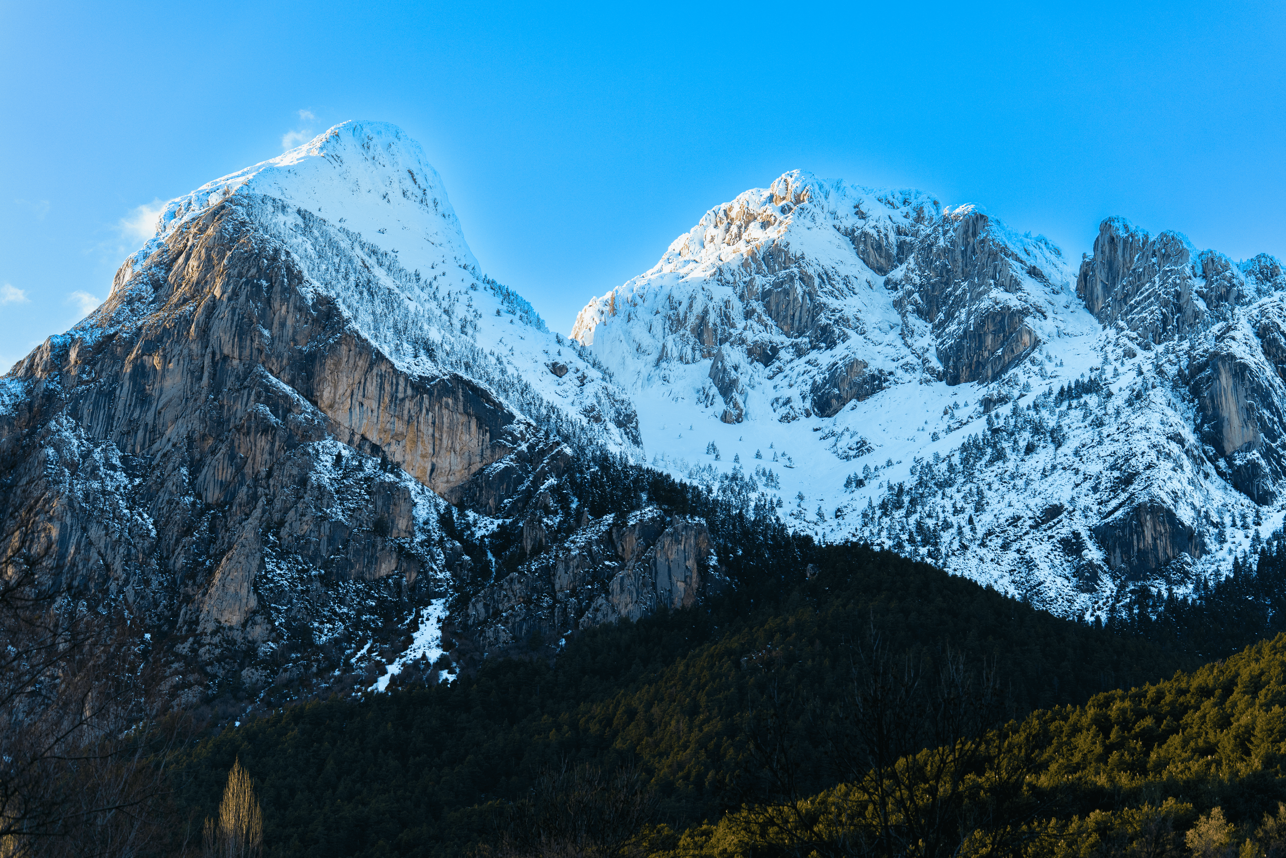 Montañas nevadas con pinos en primer plano y cielo azul