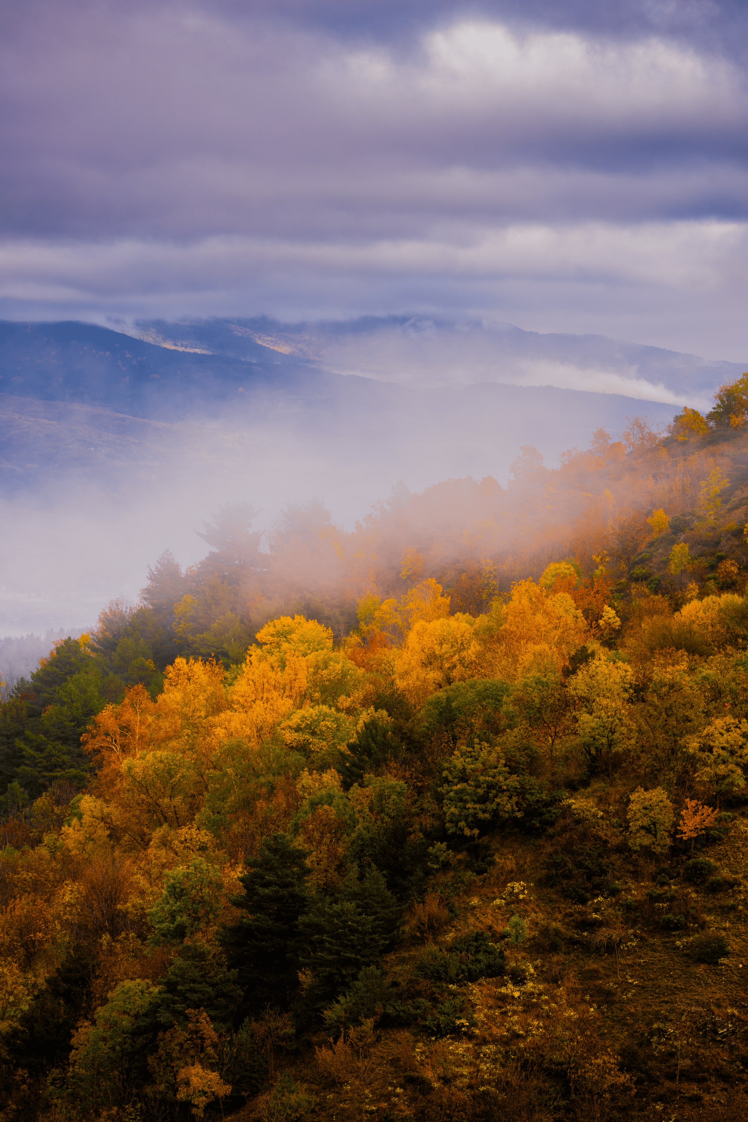 Paisaje de montañas con árboles en tonos otoñales y neblina, cielo nublado.