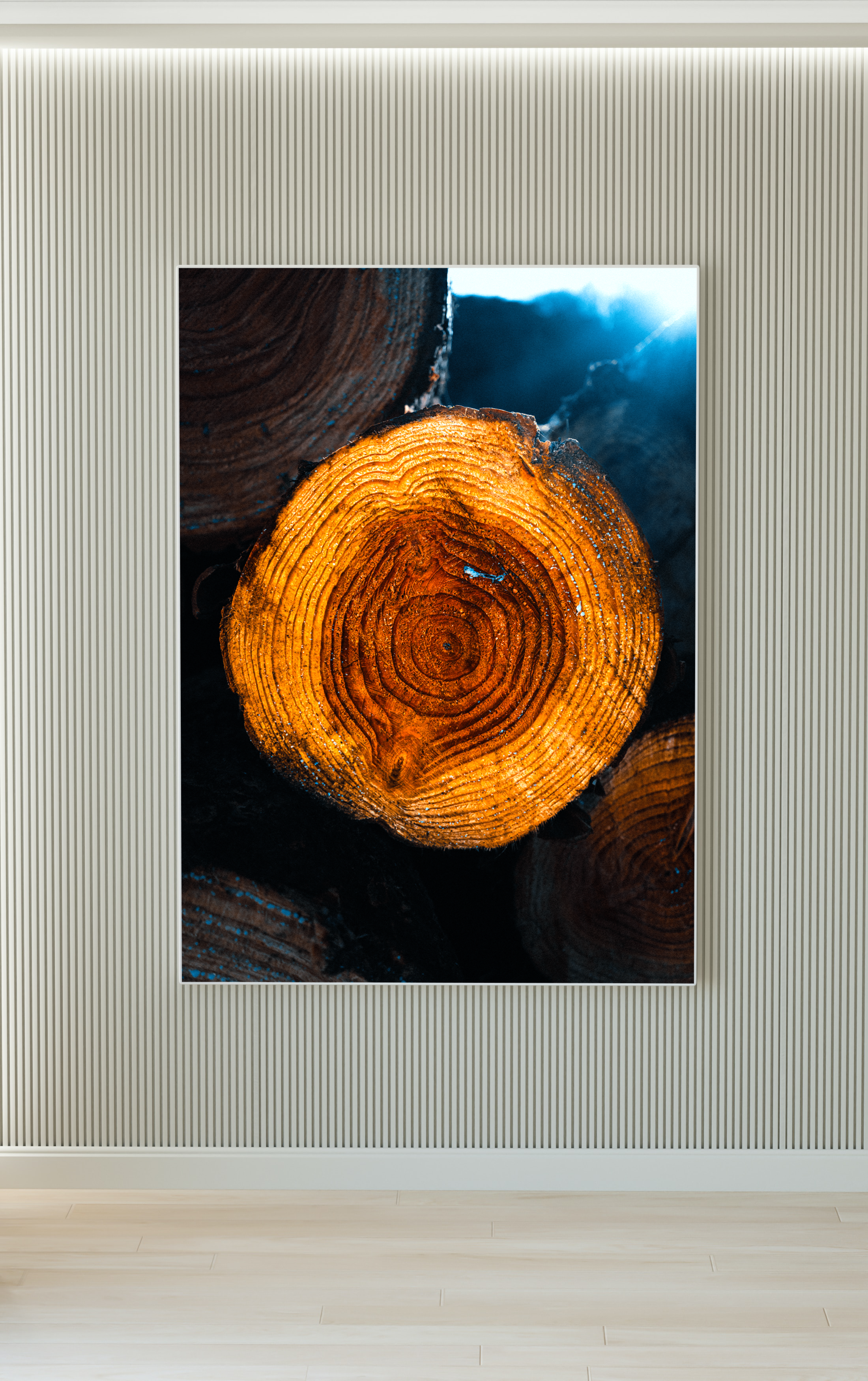 Una fotografía de un tronco de árbol cortado mostrando sus anillos de crecimiento, con un fondo oscuro y un rayo de luz que ilumina parcialmente la imagen.