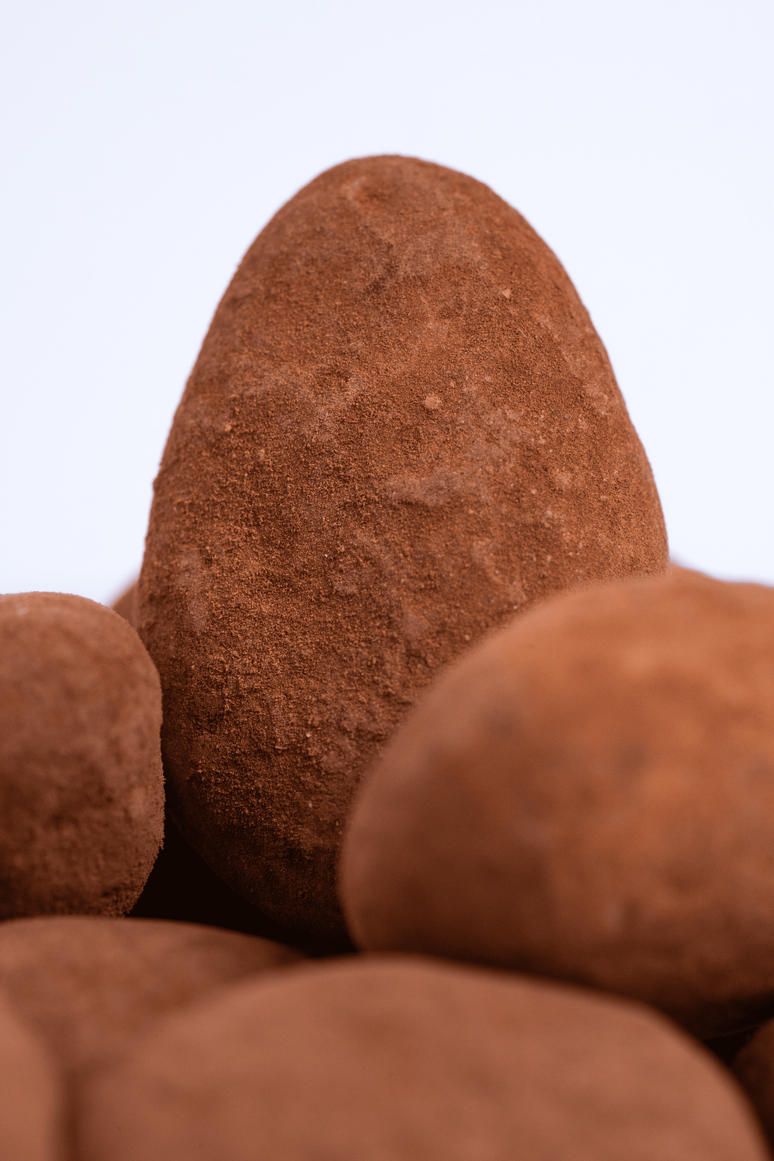 Varias trufas de chocolate con polvo de cacao en una superficie.