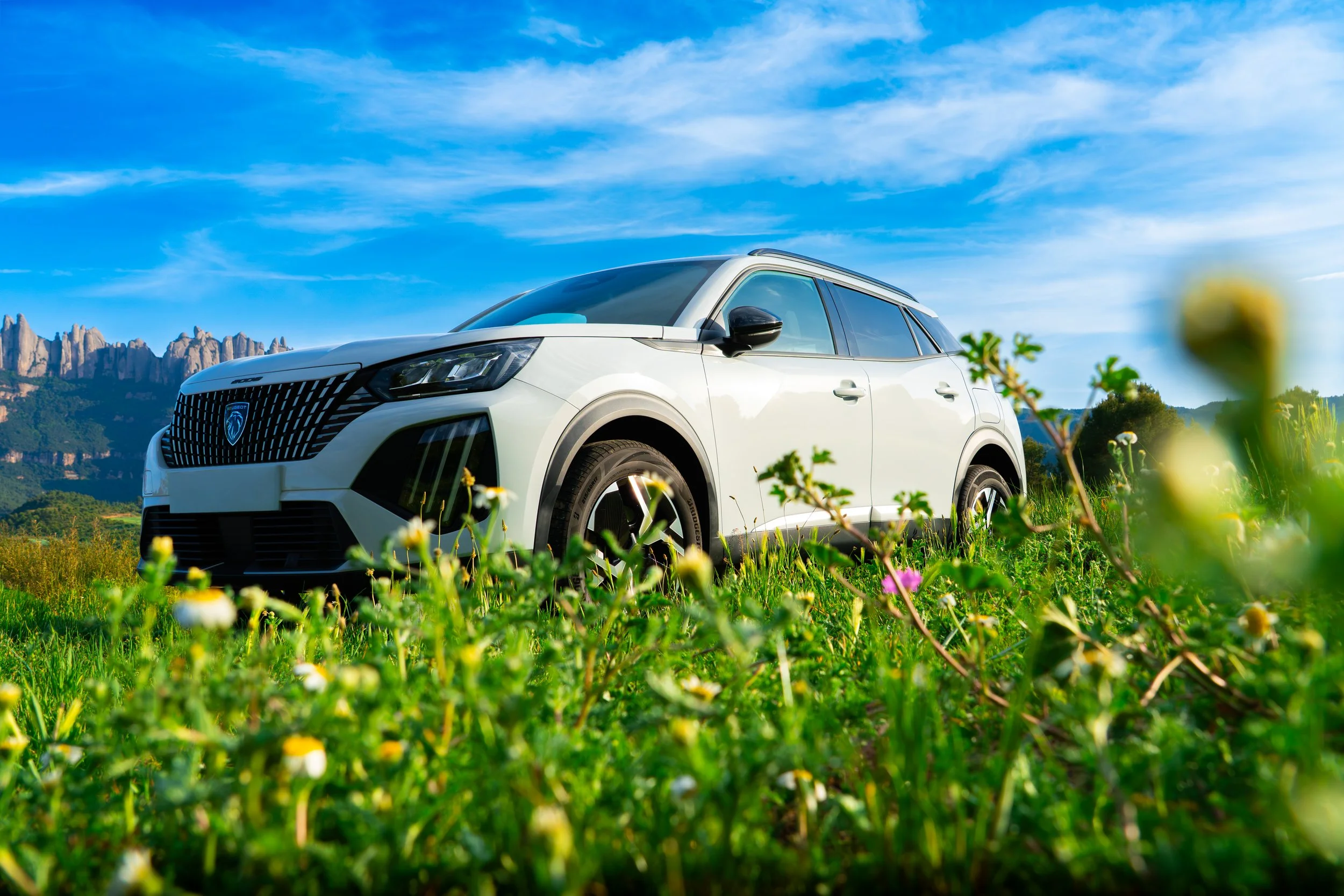Auto SUV blanco en campo con flores, montañas y cielo azul con nubes en el fondo.