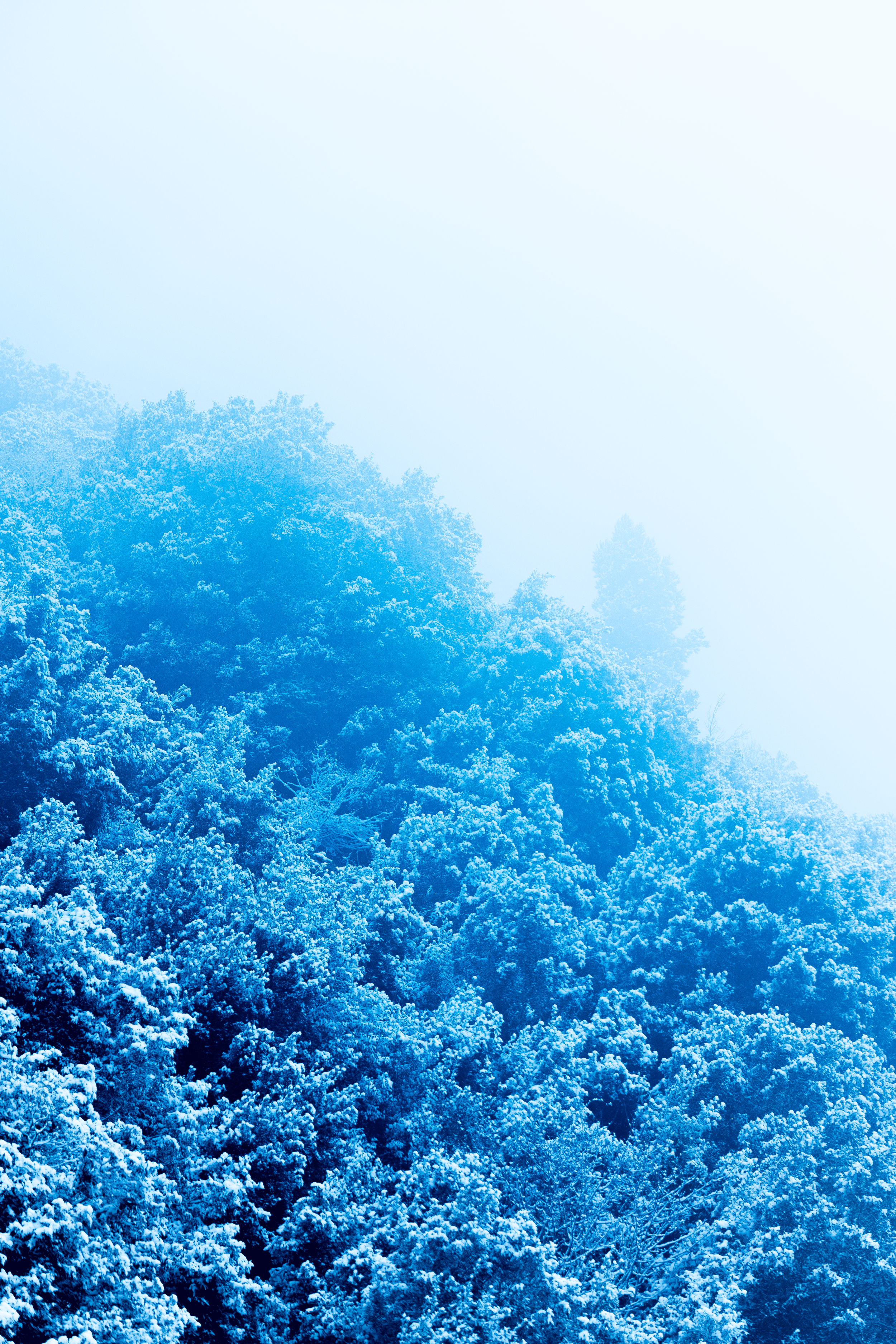 Montaña cubierta de nieve y árboles en un día Nublado.
