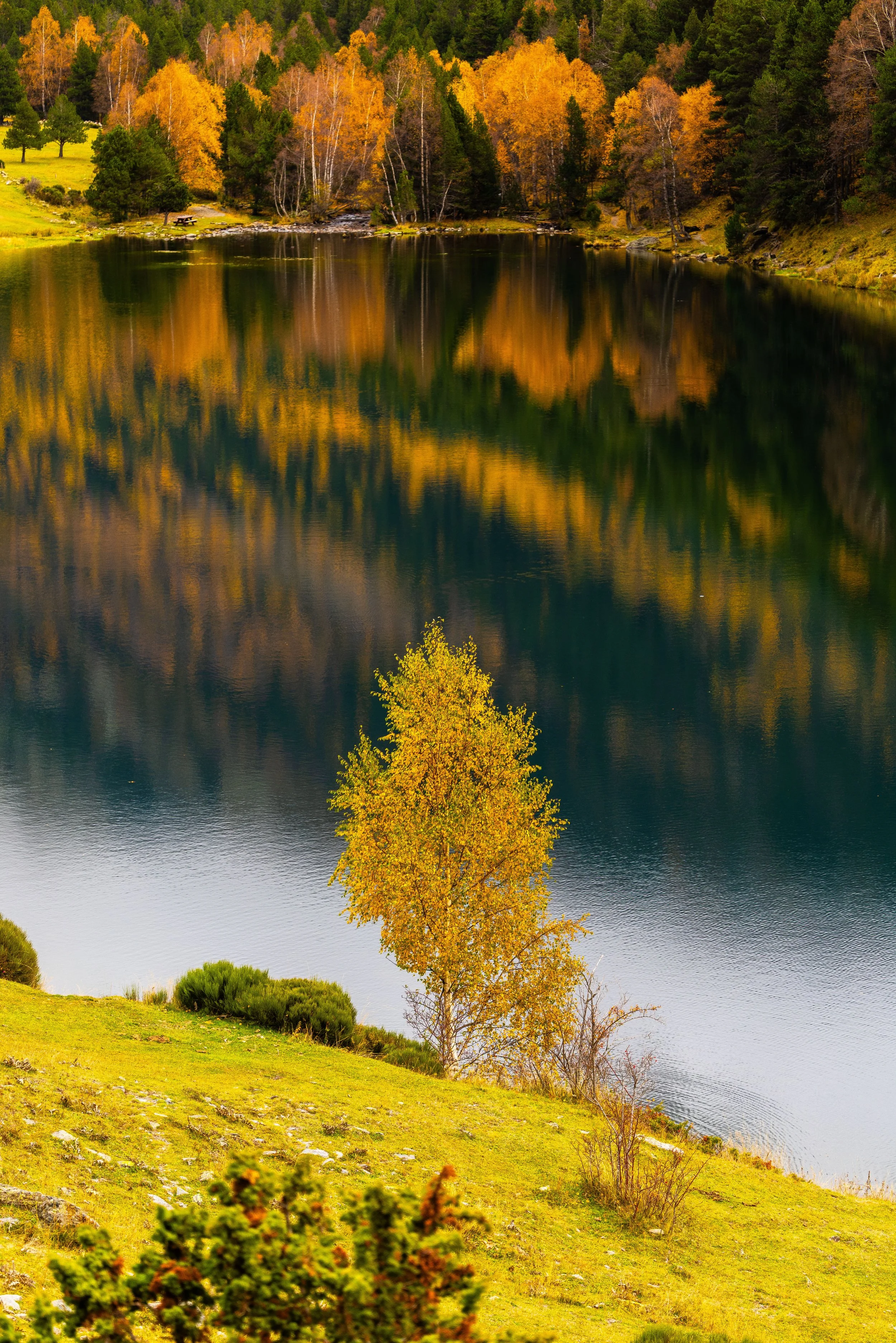 Un paisaje de otoño con árboles de colores amarillos y naranjas reflejados en un lago rodeado de árboles verdes en las colinas cercanas.