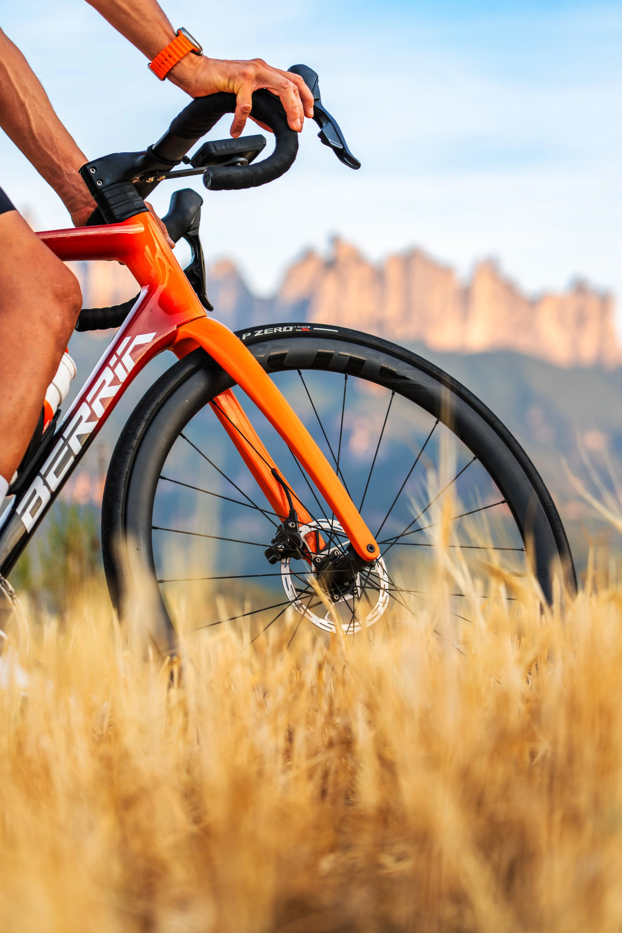Persona montando bicicleta en un campo de trigo con montañas al fondo
