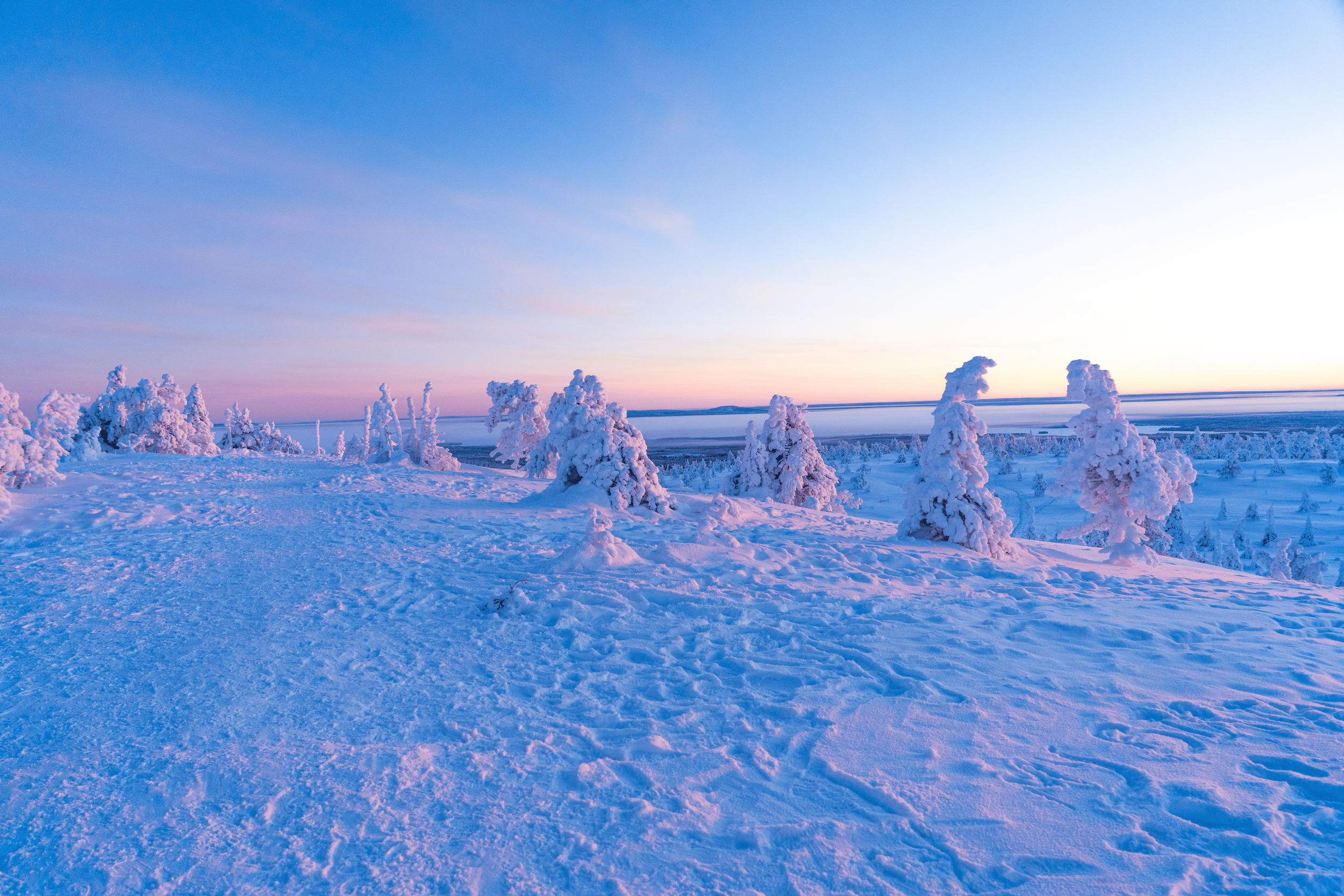 Paisaje invernal con árboles cubiertos de nieve y un cielo al atardecer en tonos rosas y azules.