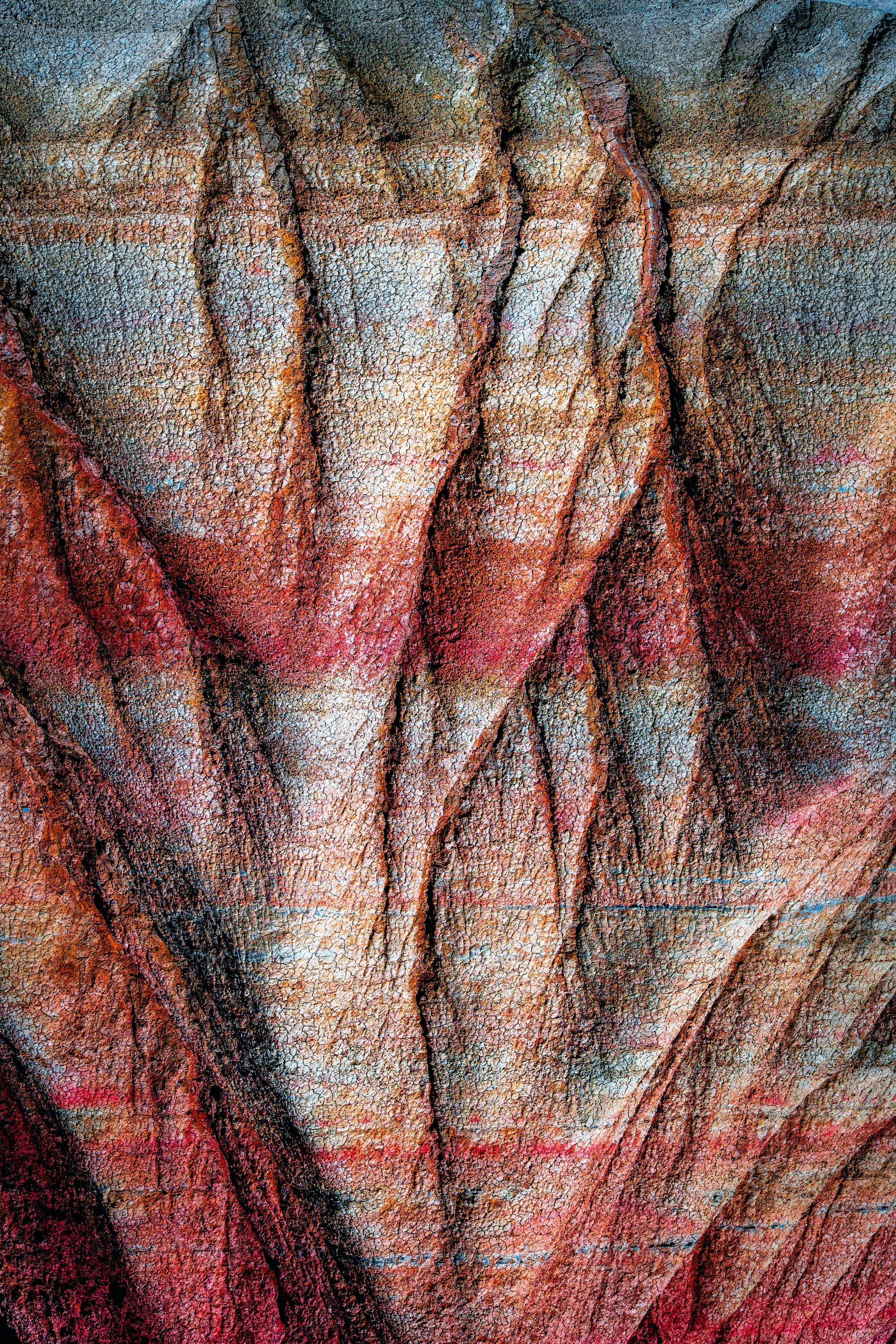Primer plano de la corteza de un árbol, mostrando textura detallada con patrones de grietas y colores que varían del gris al rojo y marrón.