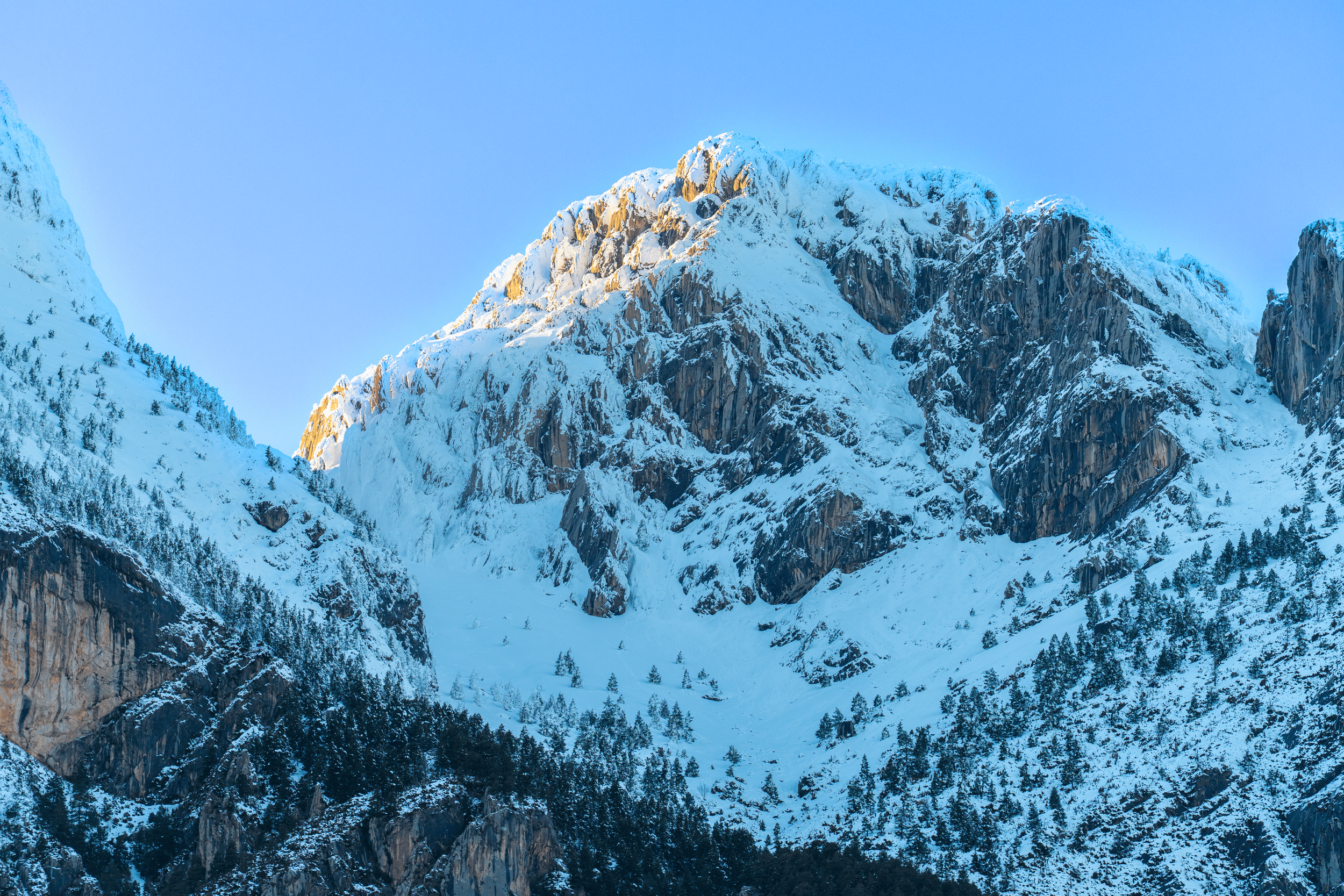 Montañas cubiertas de nieve con pinos en primer plano bajo un cielo despejado.