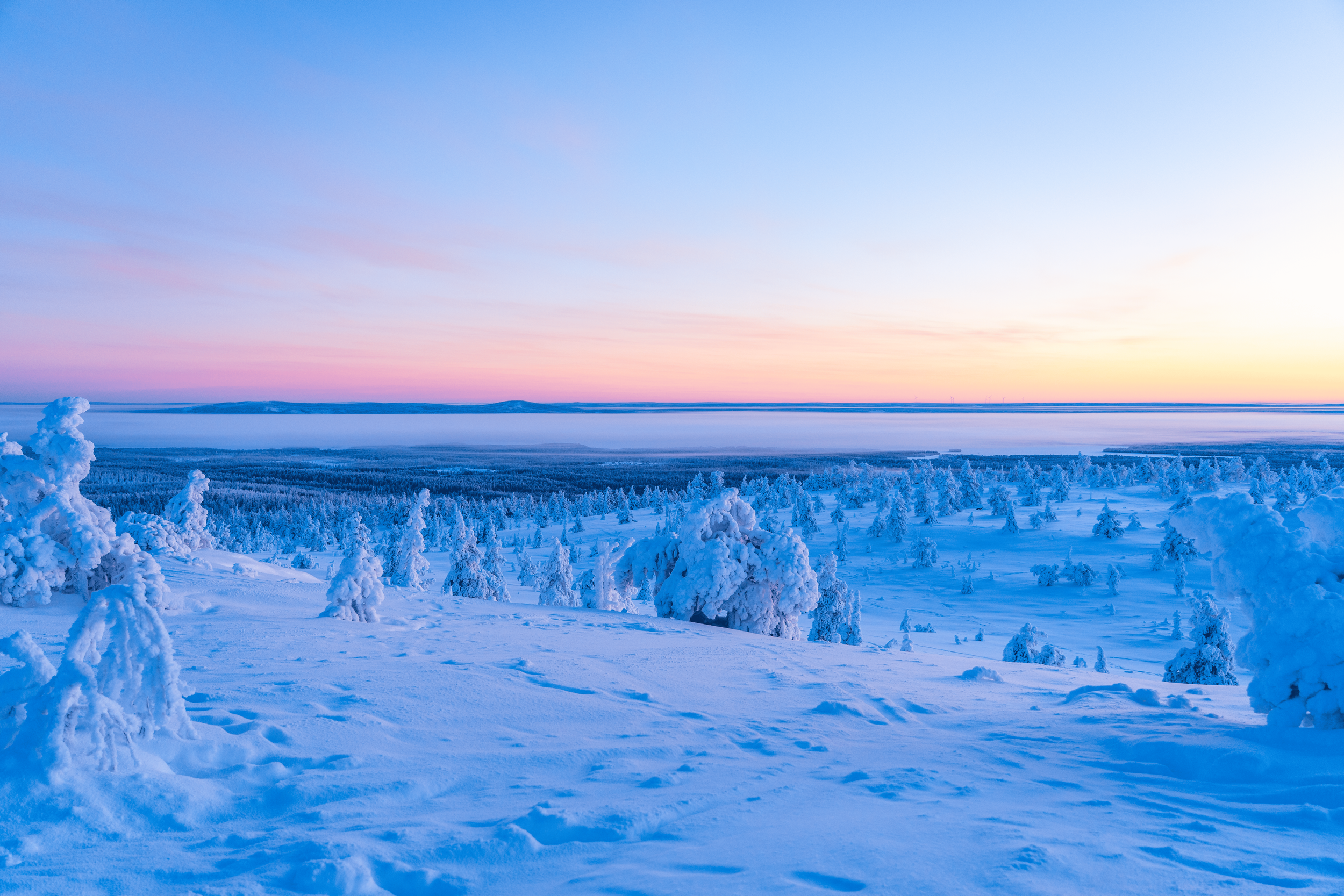 Paisaje de un bosque cubierto de nieve en invierno, con árboles congelados y un cielo en tonos rosados y azules al atardecer.
