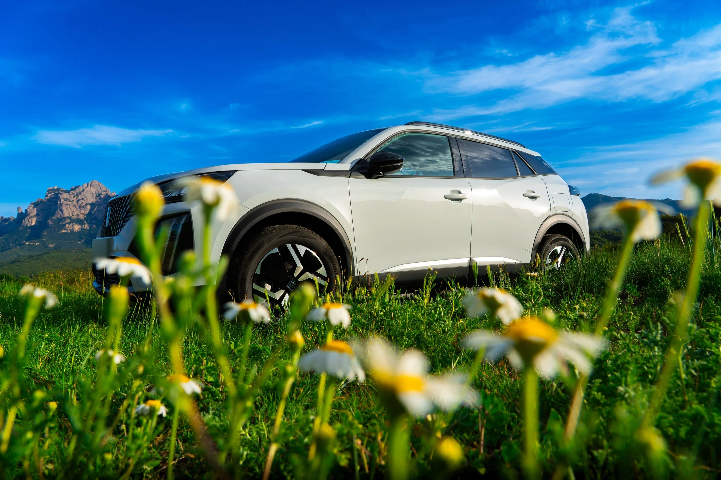 Coche blanco en un campo con flores, montañas al fondo y cielo despejado.