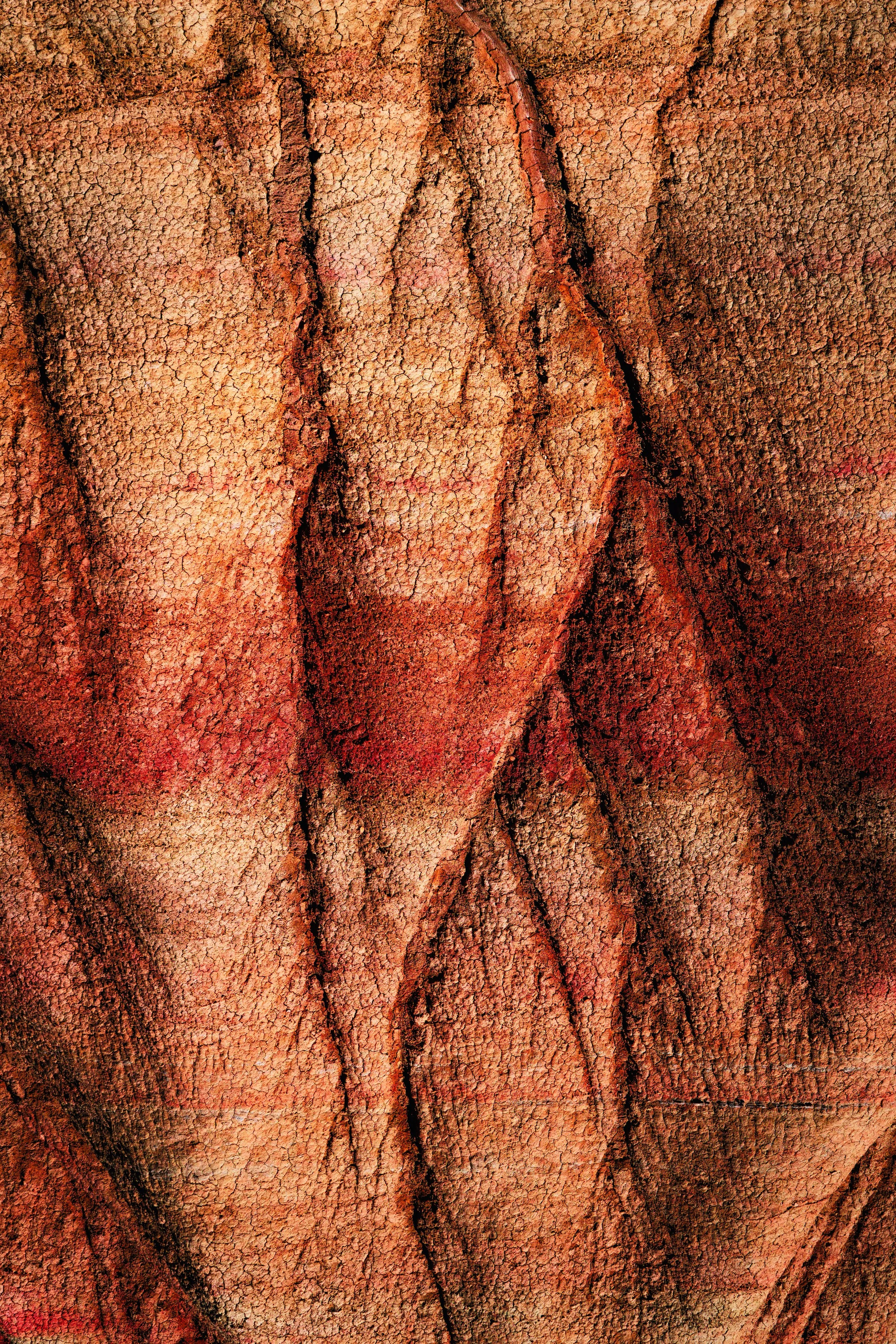 Textura de corteza de árbol en tonos marrón y rojizo con grietas y relieves
