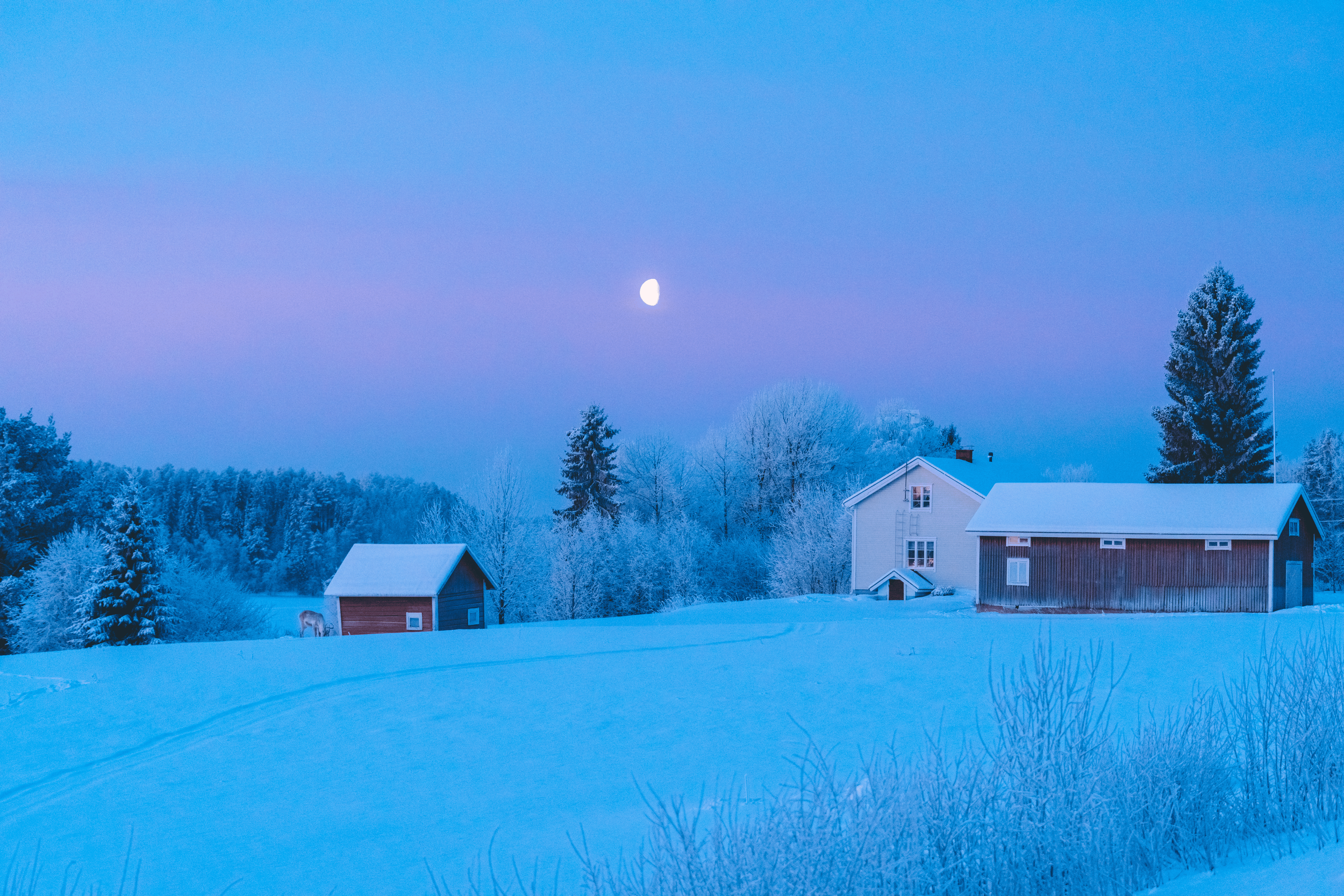 Escena de invierno con casas de madera cubiertas de nieve, árboles nevados y la luna en el cielo.