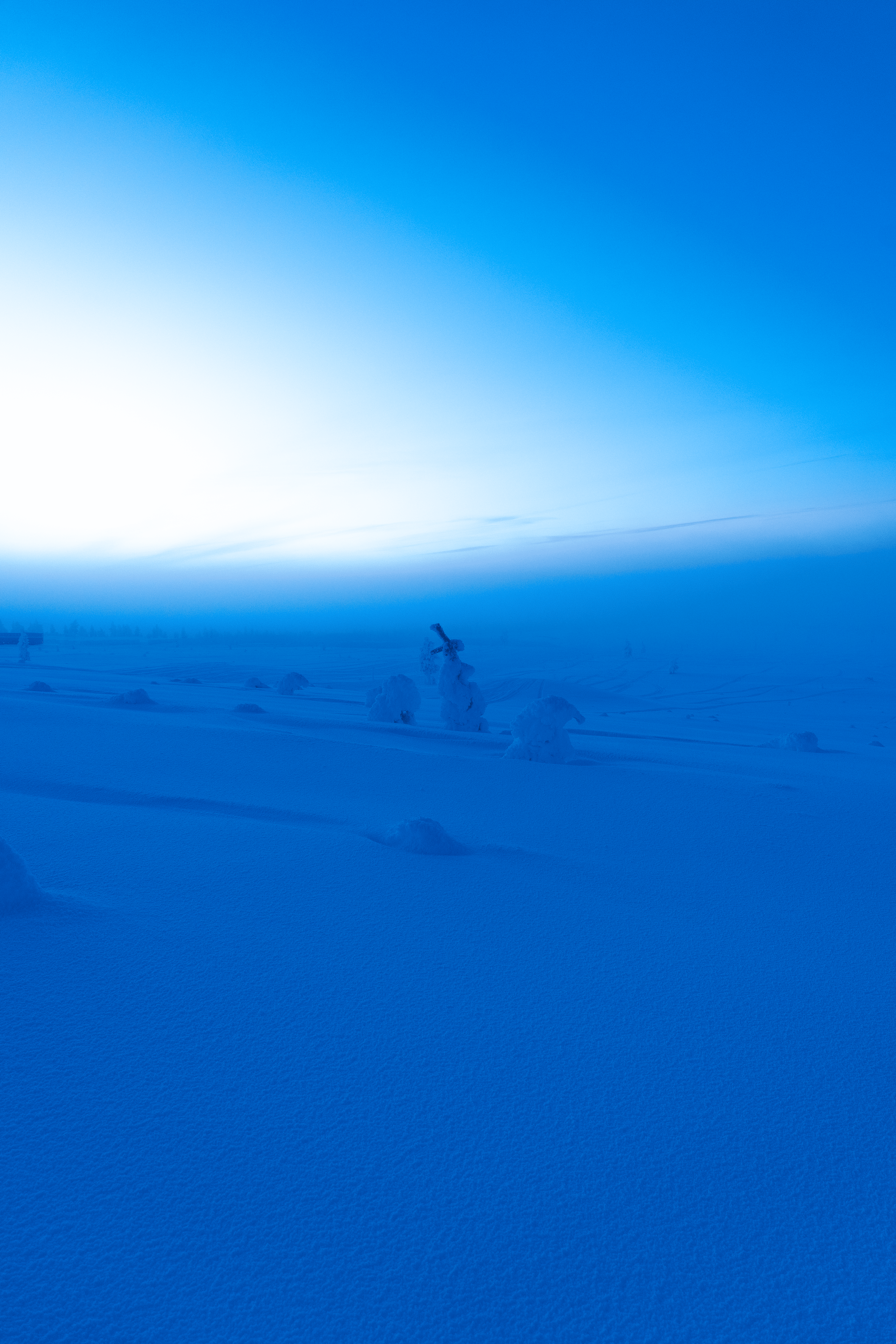 Paisaje de una nevada con árboles cubiertos de nieve y un cielo azul brillante.