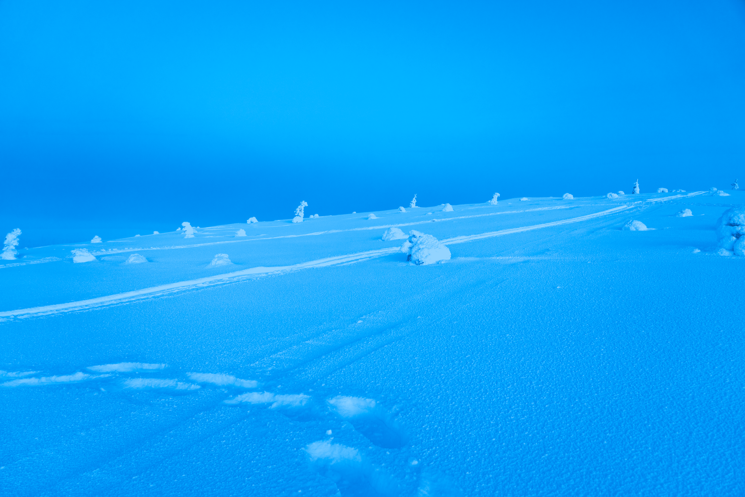 Terreno cubierto de nieve con huellas y árboles pequeños cubiertos de nieve bajo un cielo azul claro.