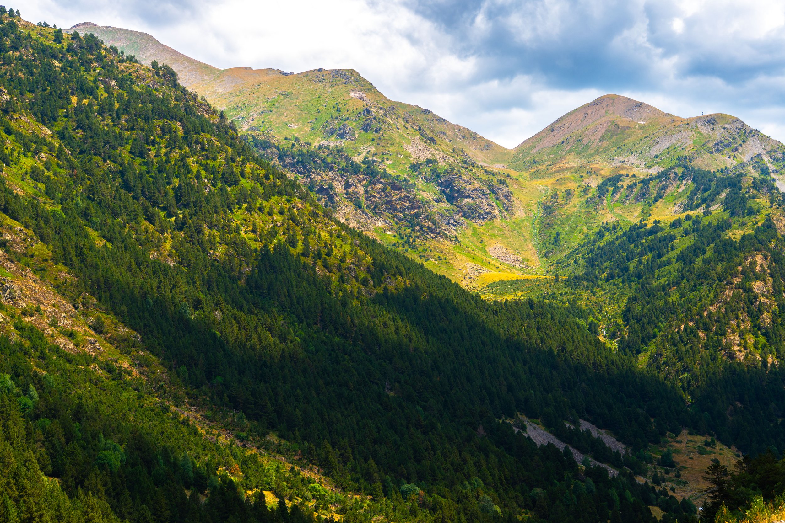 Vista panorámica de montañas verdes con árboles y praderas bajo cielo parcialmente nublado.