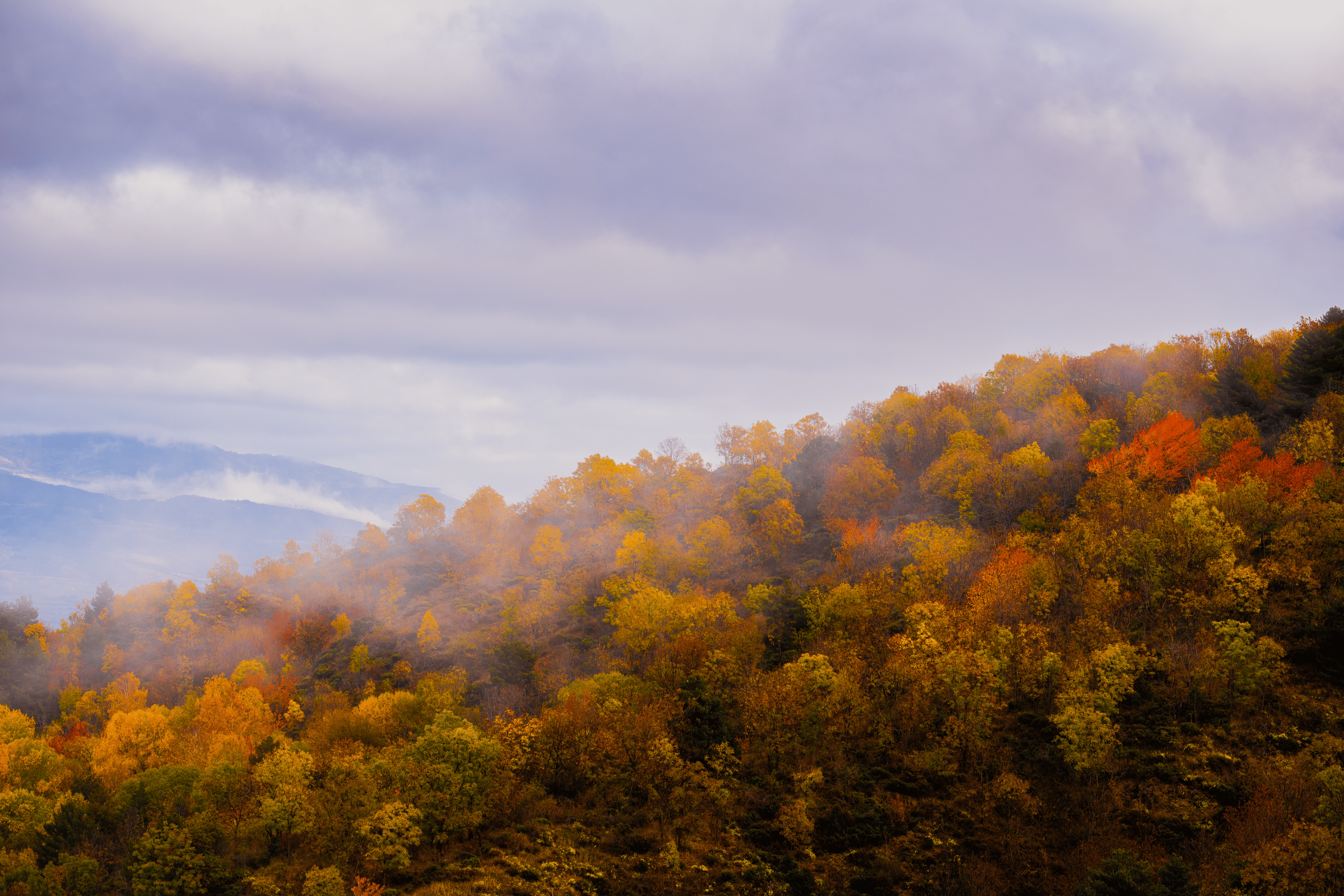 Paisaje de montañas con árboles de colores otoñales y cielo nublado con neblina.