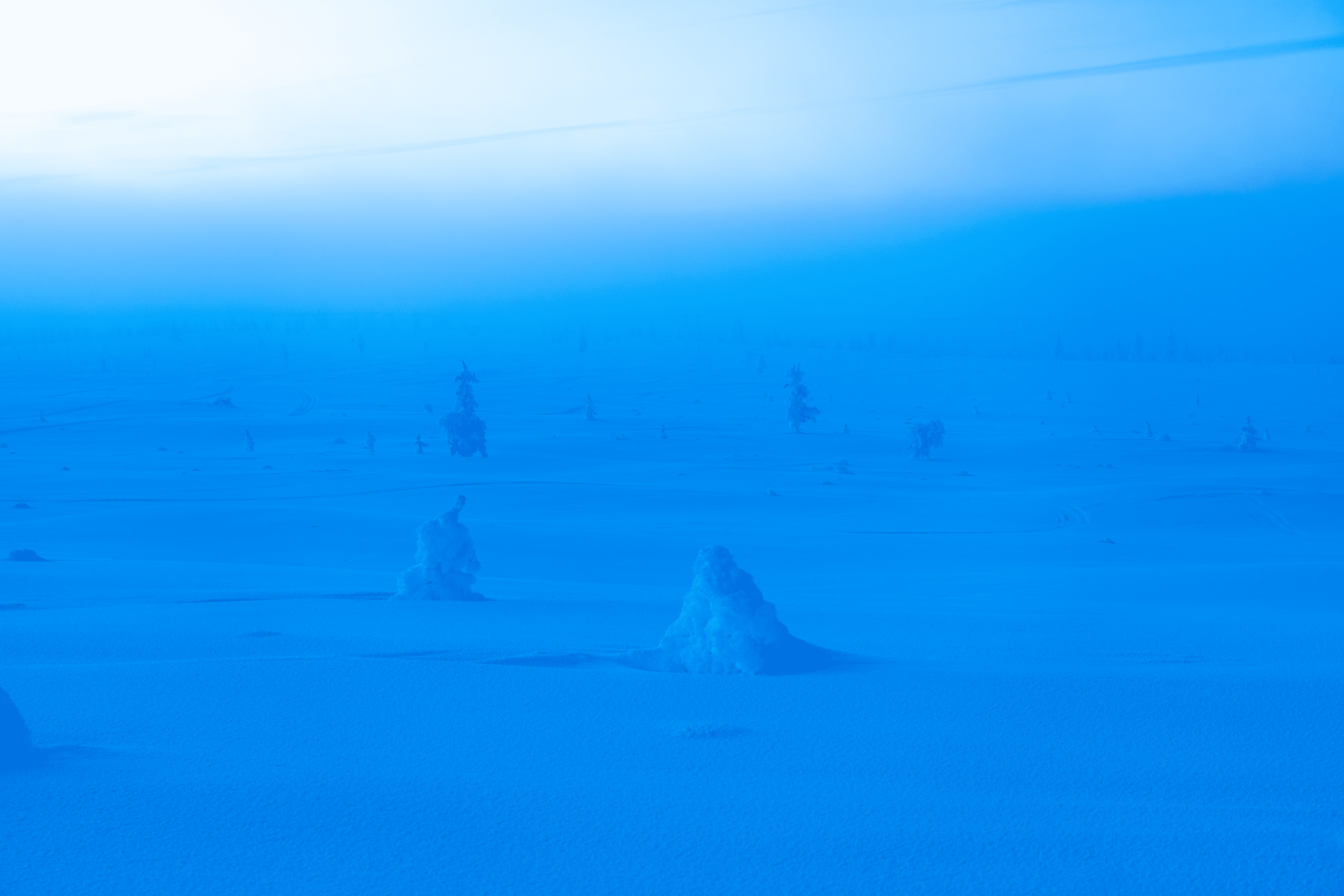 Paisaje invernal con nieve y árboles cubiertos de hielo en un entorno frío y desolado.