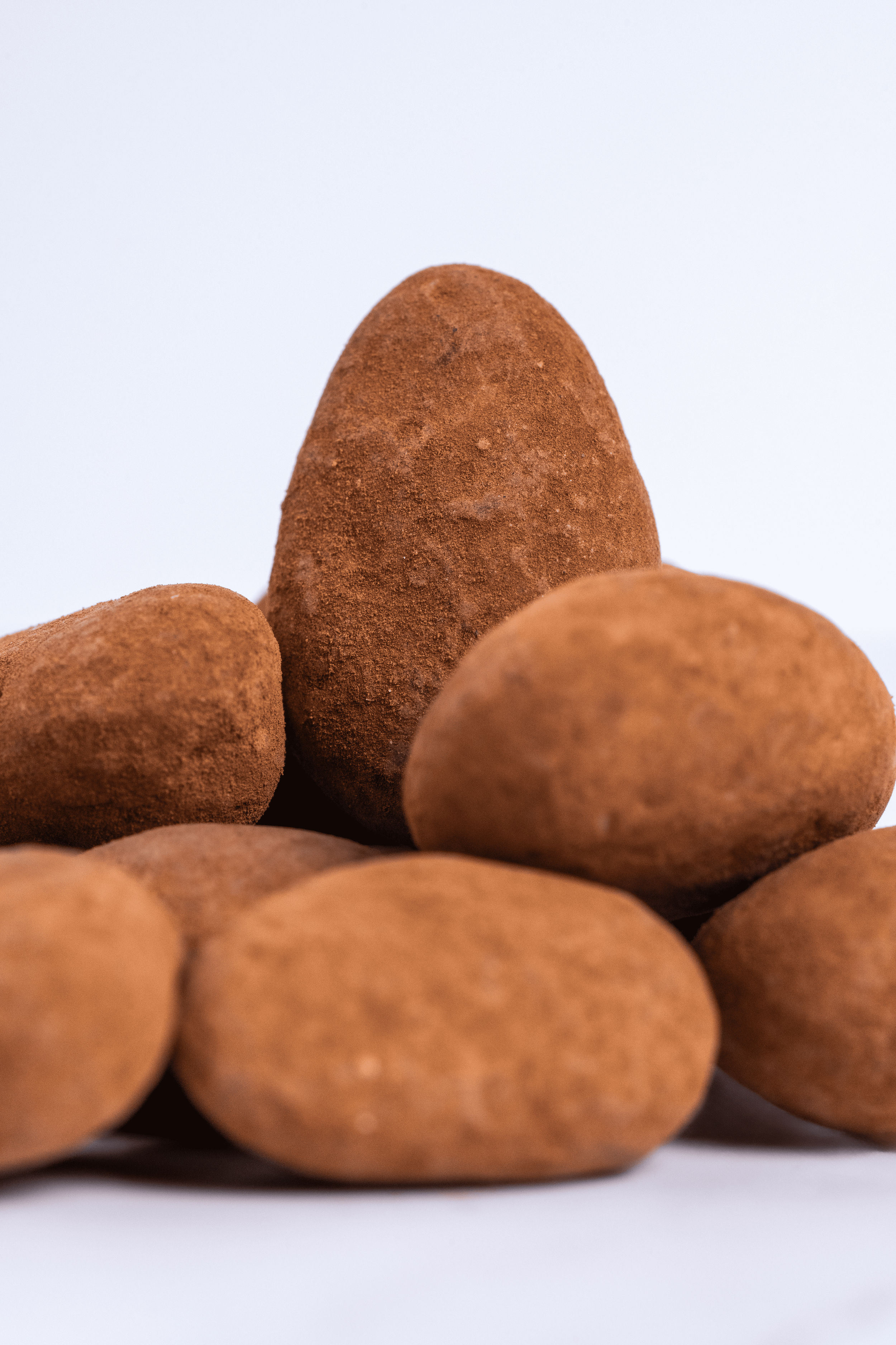 Variedad de dulces tradicionales en forma de semillas, cubiertos de polvo de cacao o canela, sobre fondo blanco.