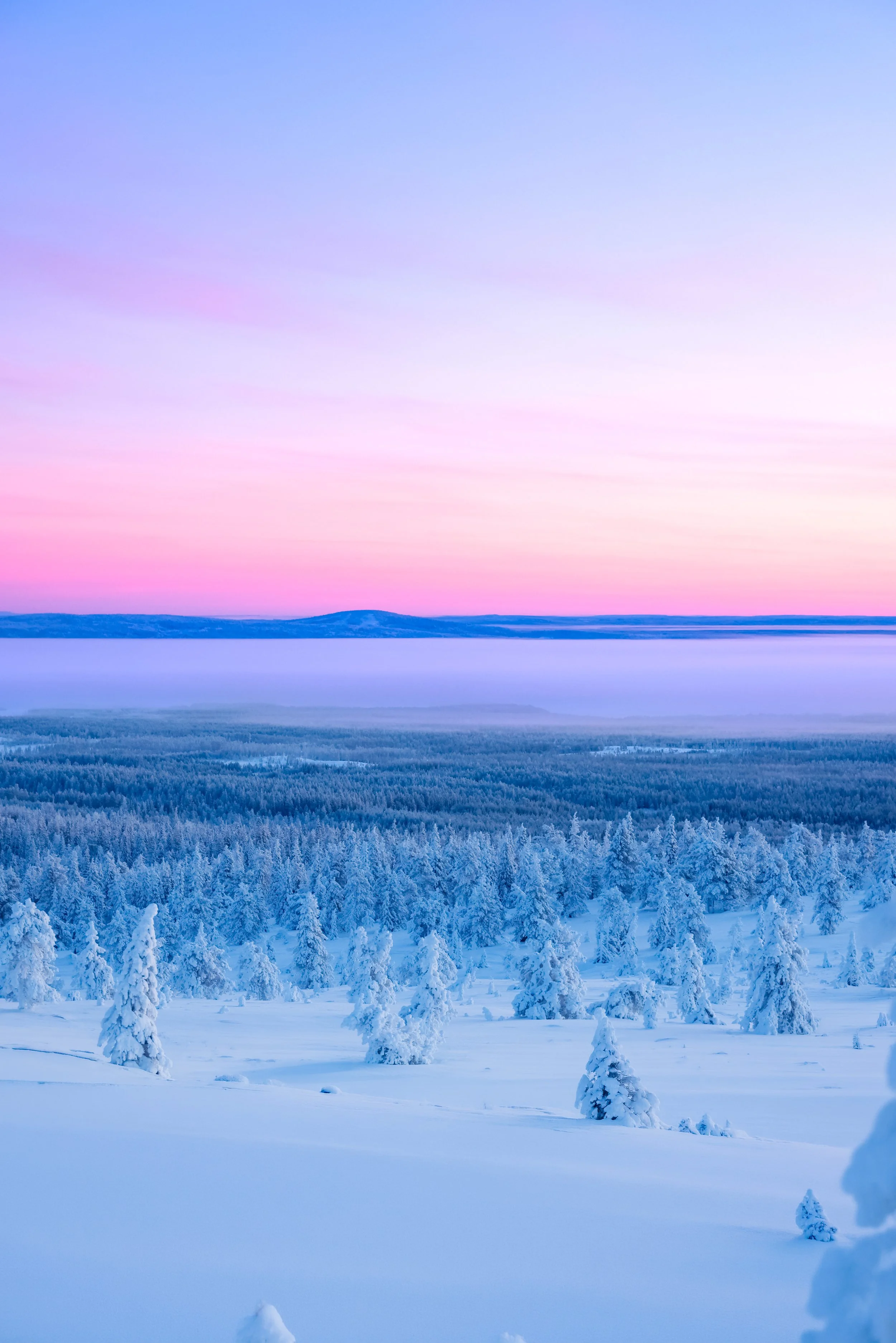 1-14.jpg