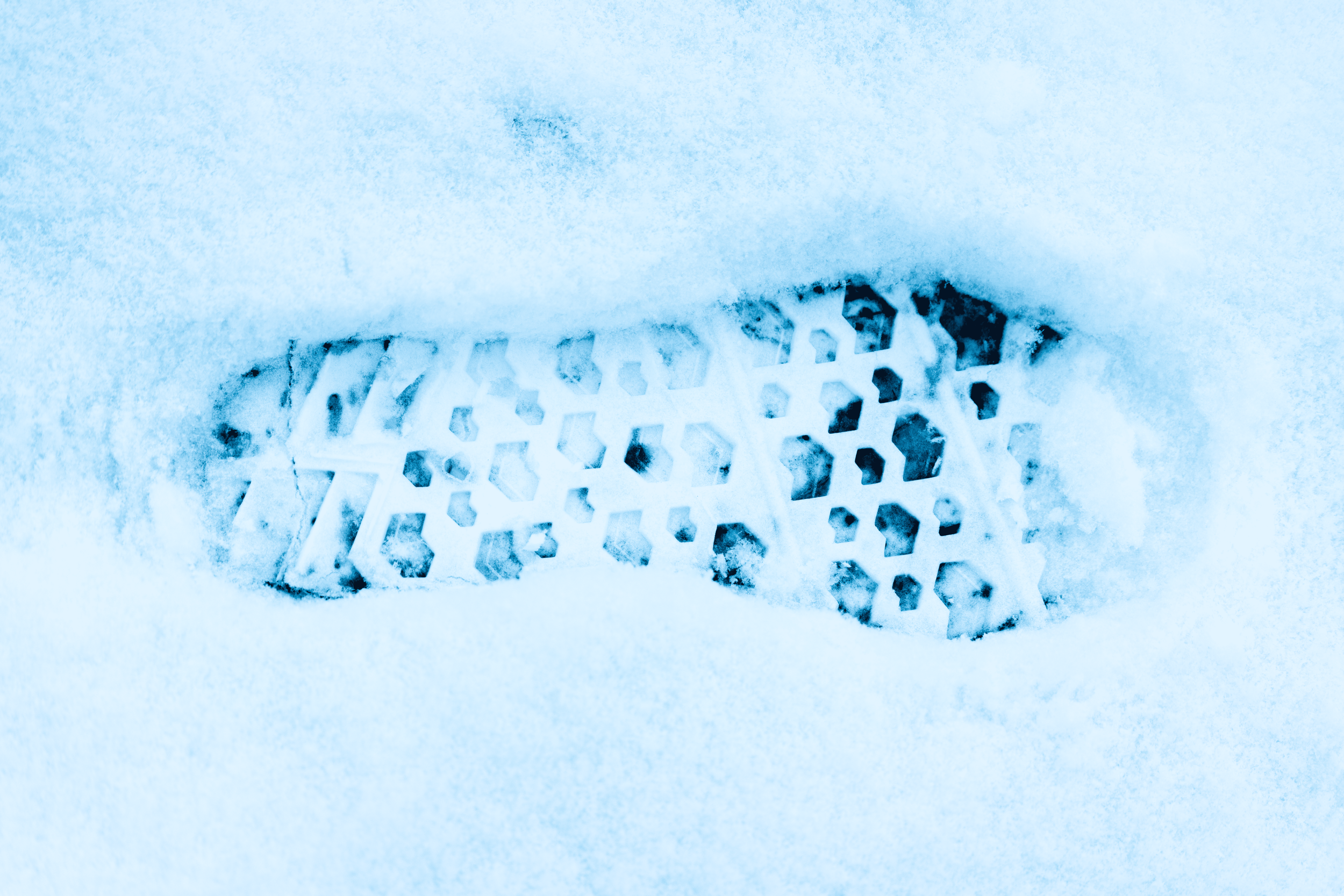 Huella en la nieve con patrón de aves de presa.