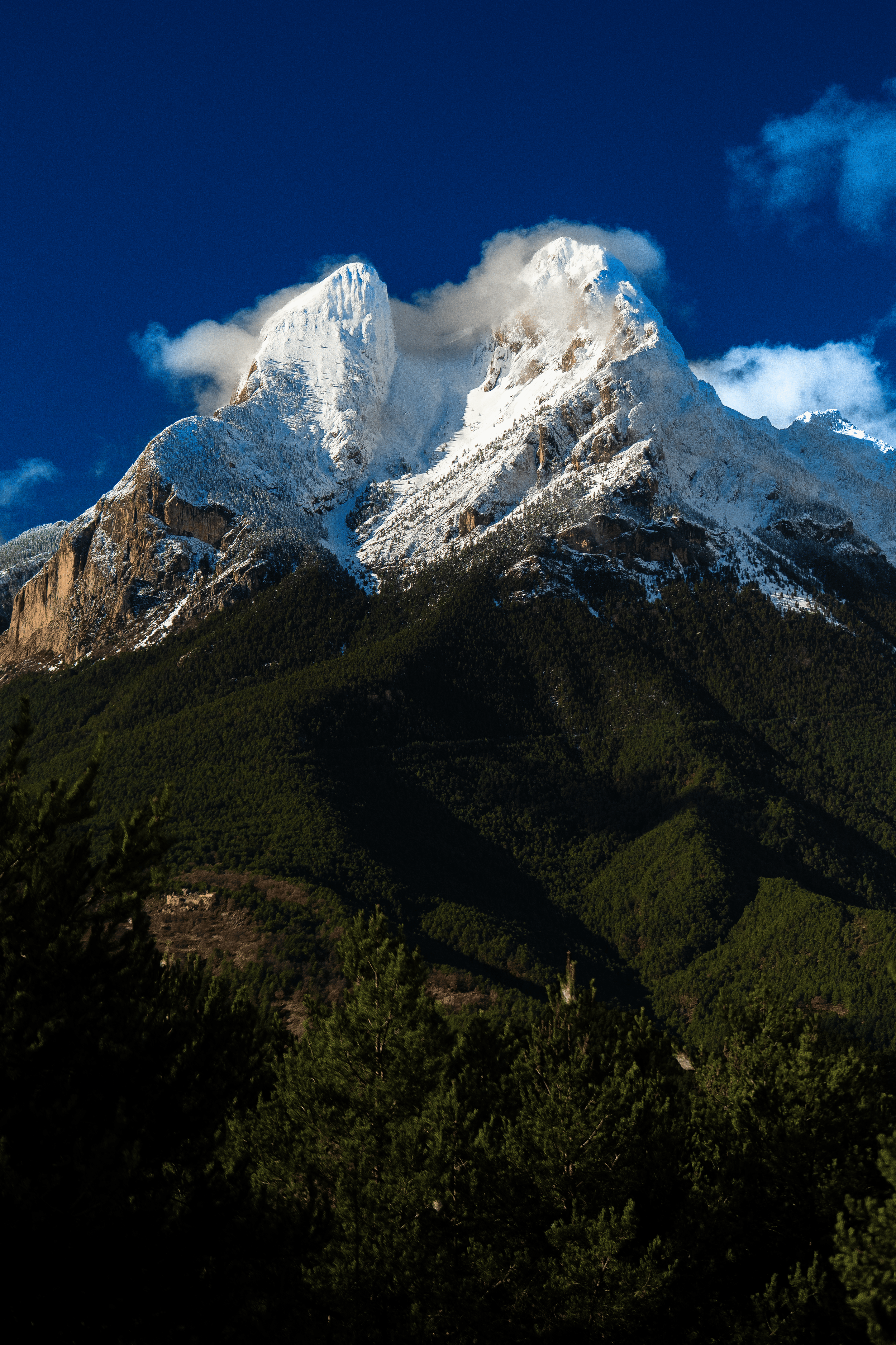 Montañas nevadas que se elevan sobre un bosque de árboles verdes con cielo azul y algunas nubes.