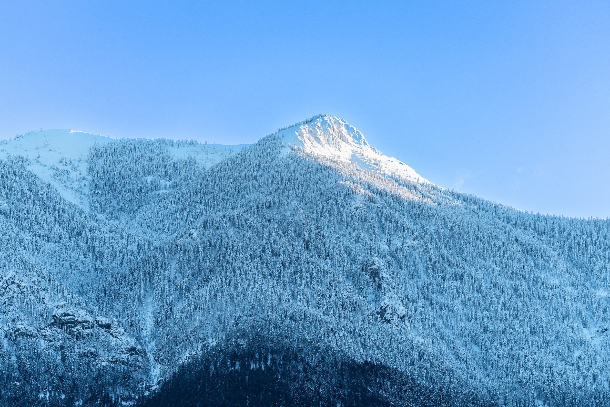 Montaña nevada con árboles cubiertos de nieve y un cielo despejado.