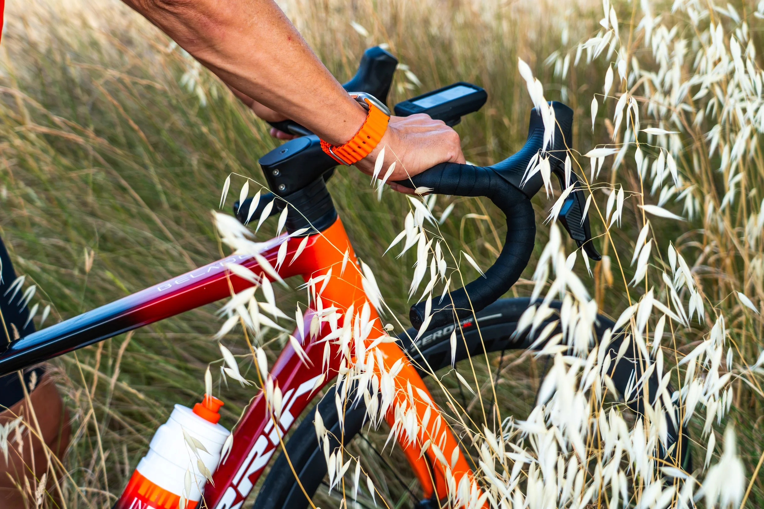 Persona montando bicicleta de ruta en un campo de trigo, con un reloj naranja en la muñeca y una botella de agua en el marco.