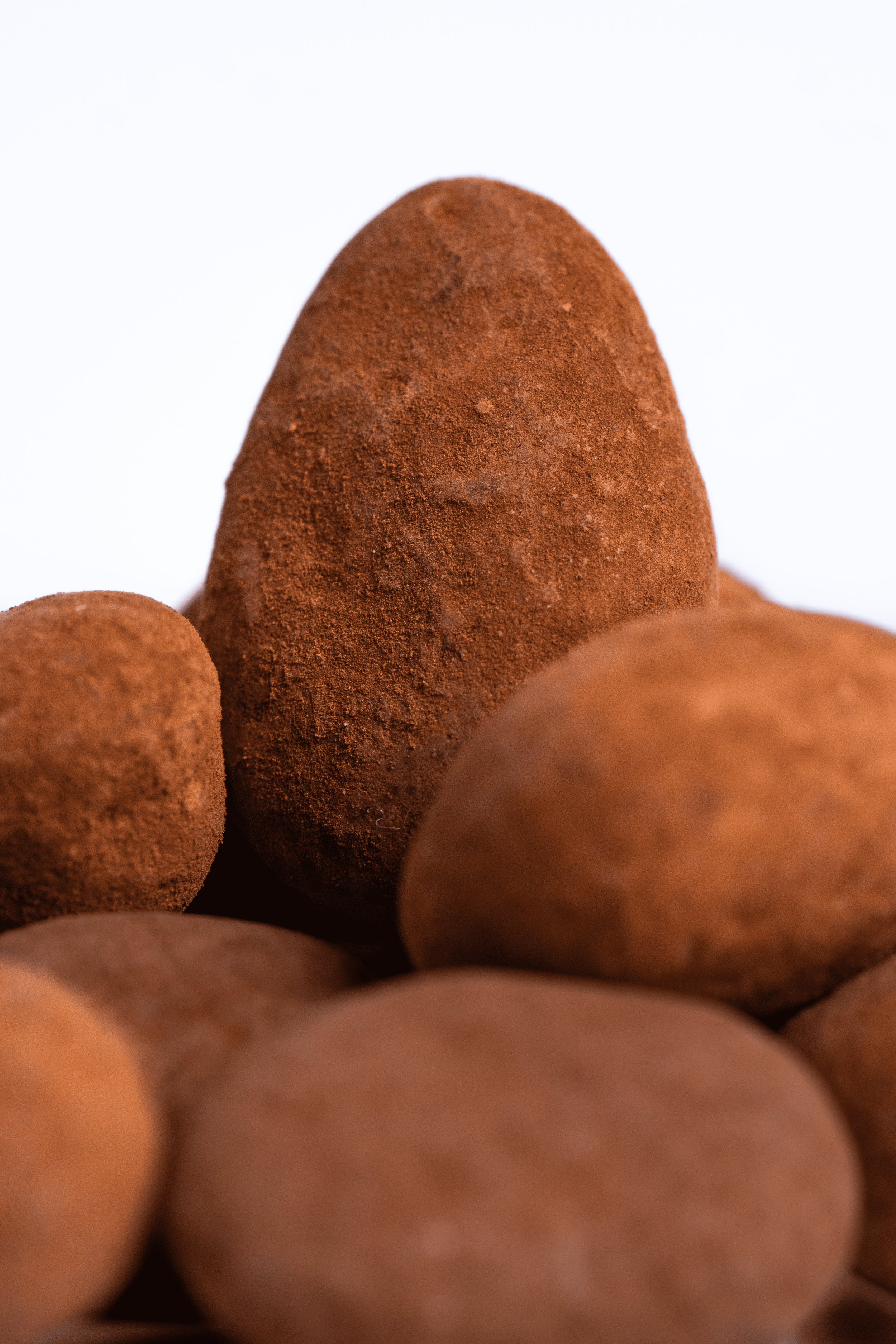 Variasamonas cone change to the surface, with a reddish-brown powder coating.