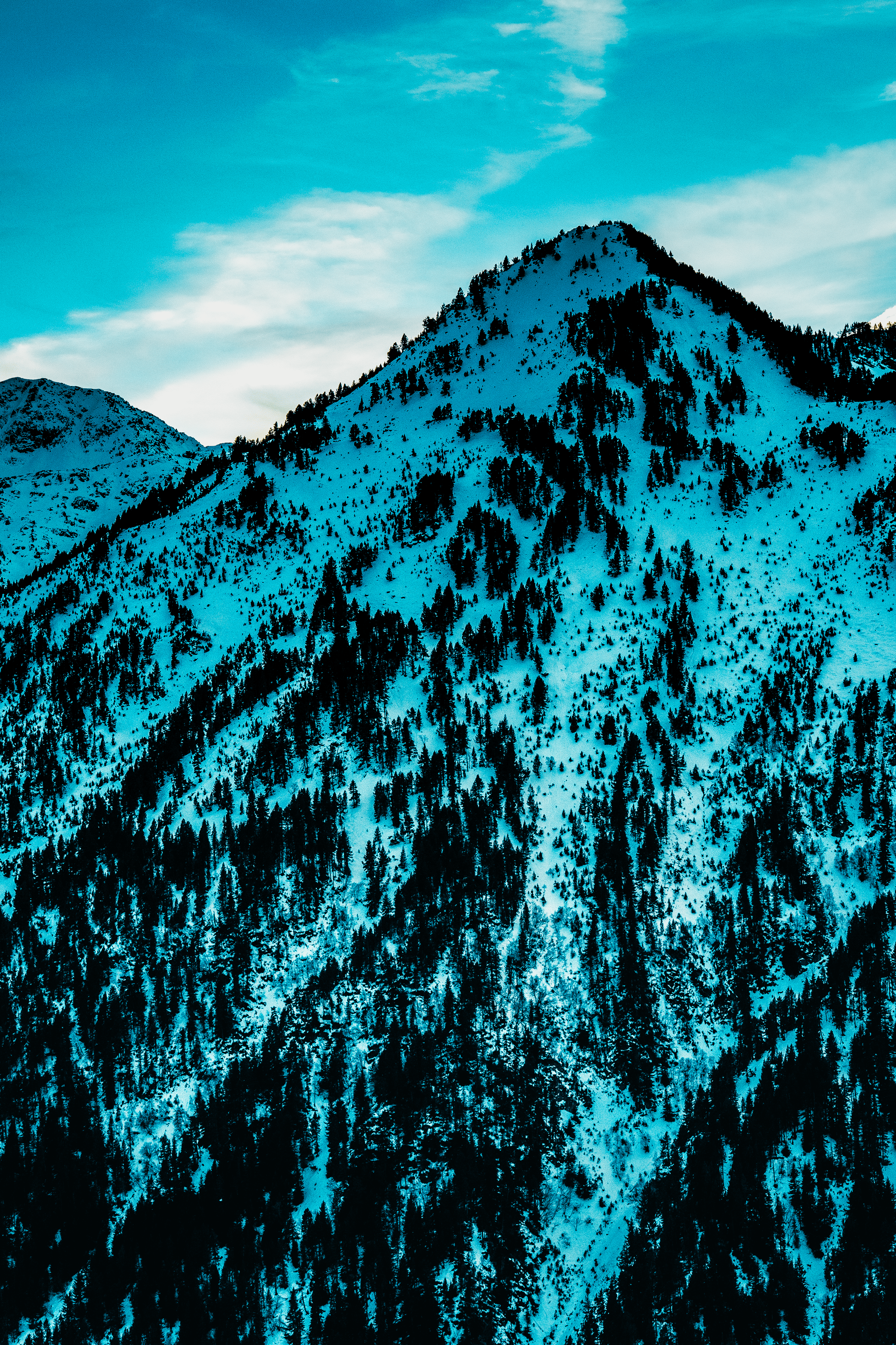 Montaña cubierta de nieve con árboles en las laderas y cielo azul con algunas nubes.