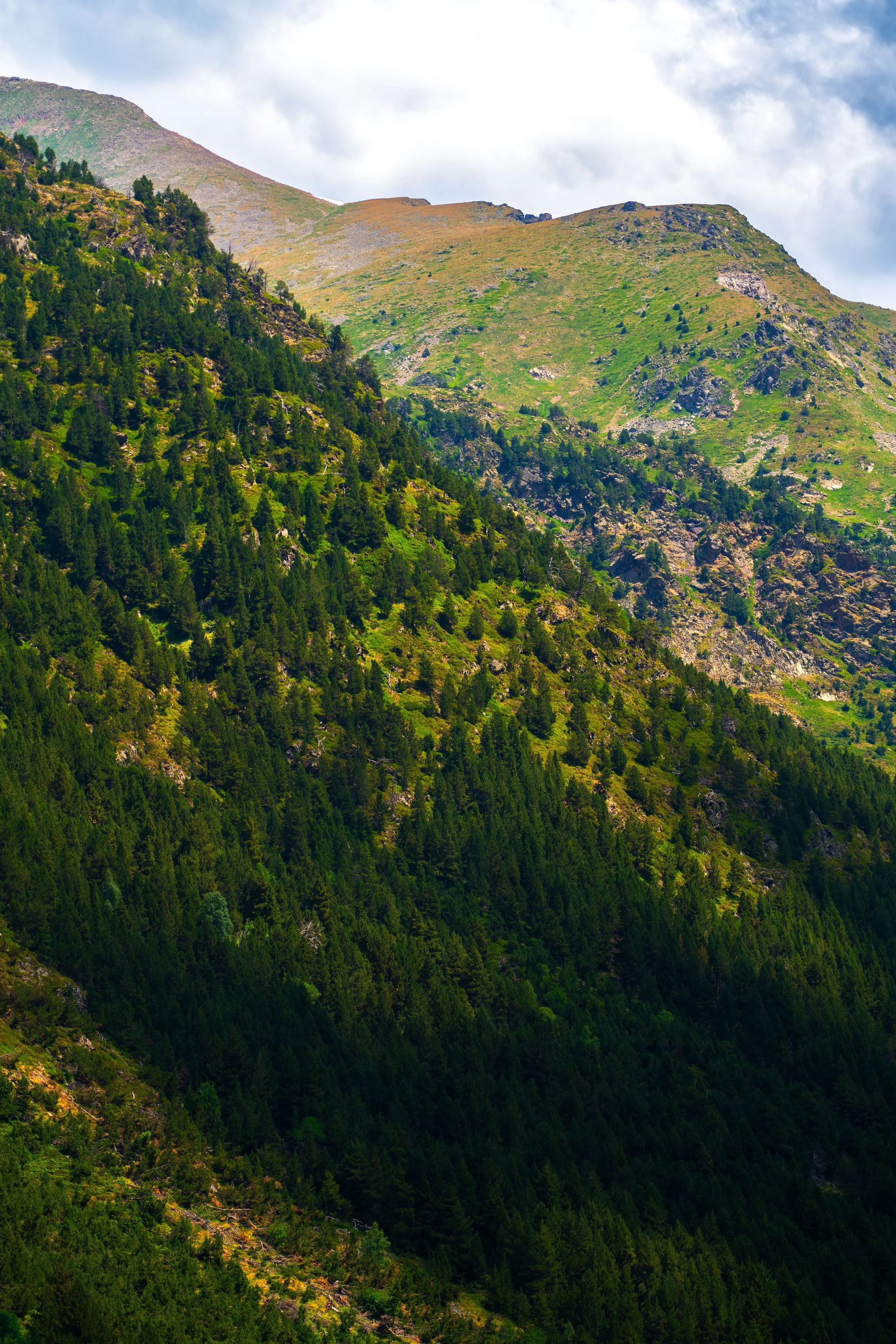 Montaña con áreas de vegetación y árboles, cielo nublado en el fondo.