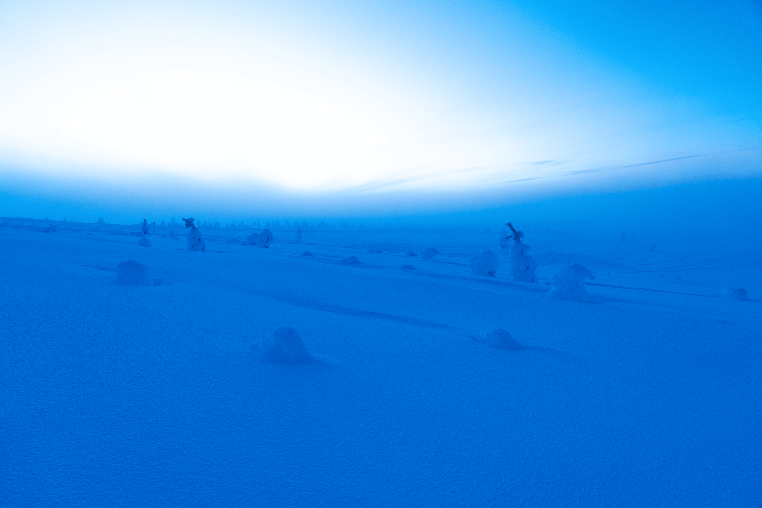 Paisaje de nieve con árboles cubiertos de hielo y hielo en el horizonte.