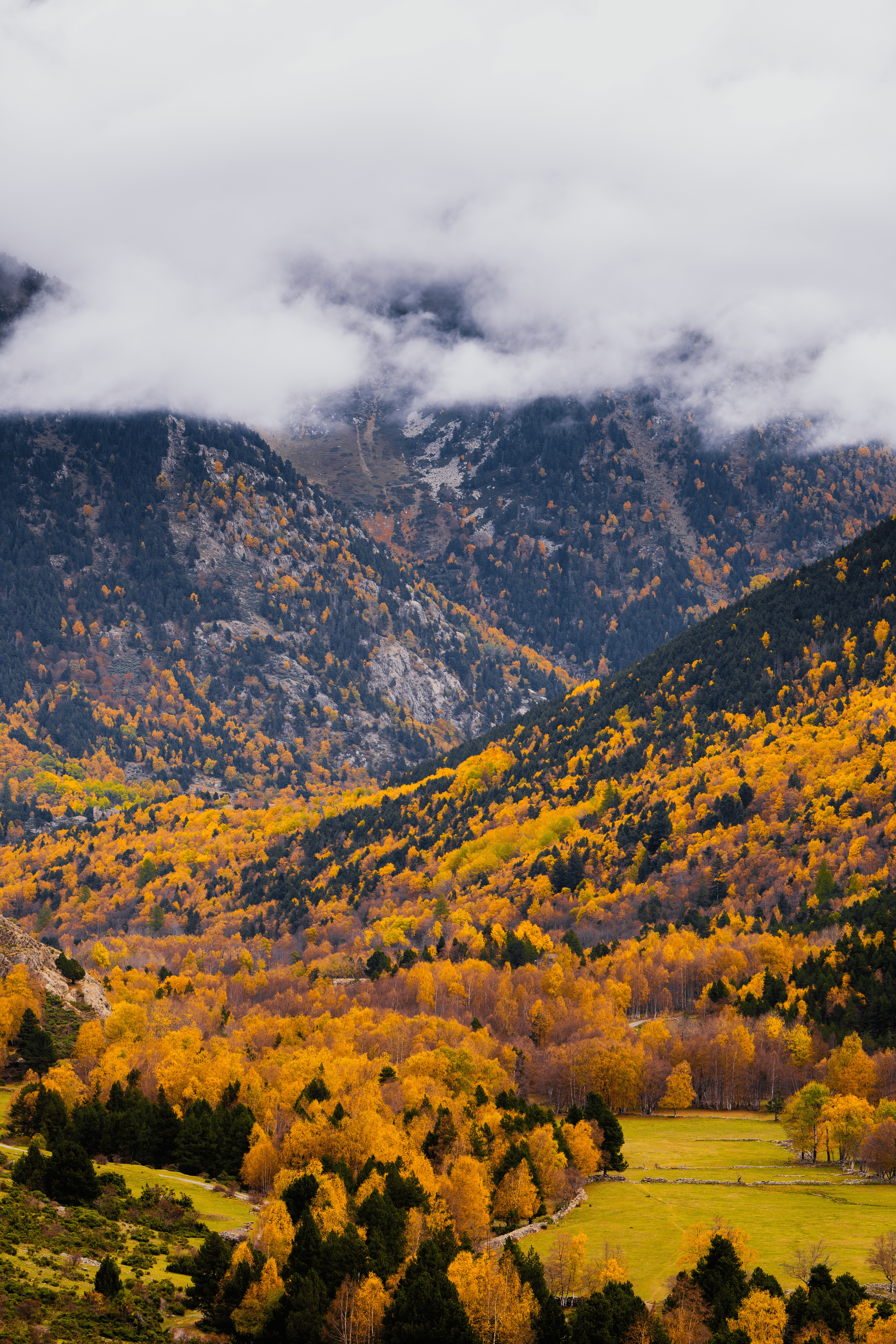 Montañas con árboles en tonos otoñales y nubes bajas cubriendo la cima.
