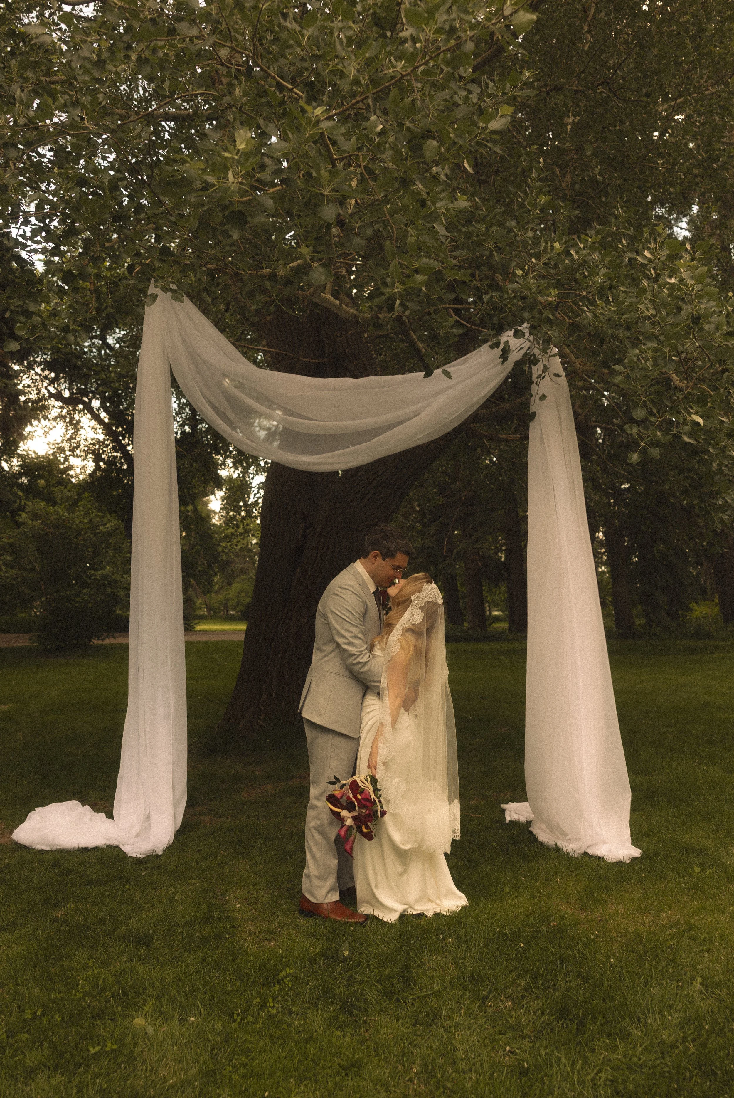 bride and groom underneath a tree