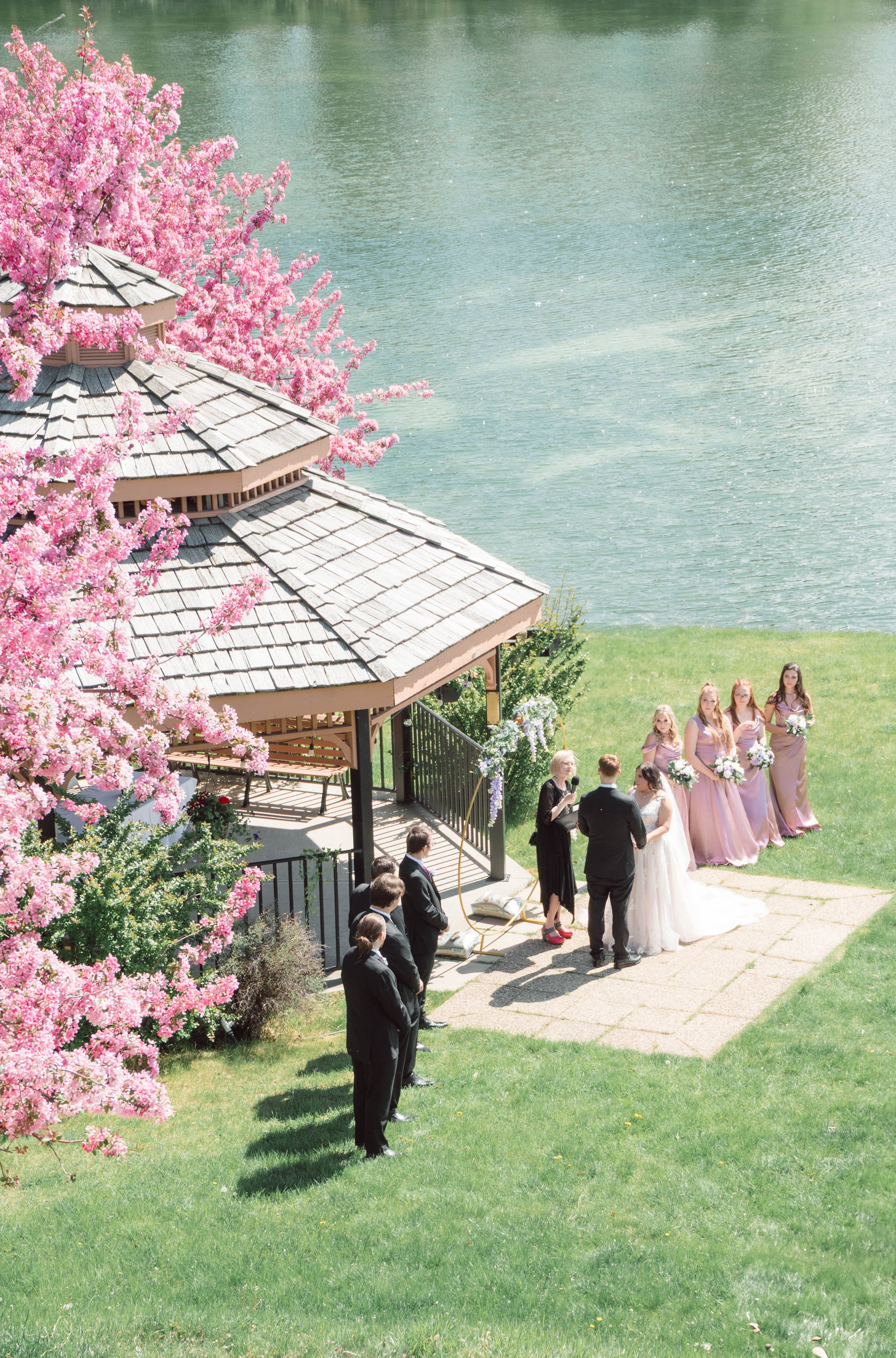 cherry blossom trees outdoor wedding