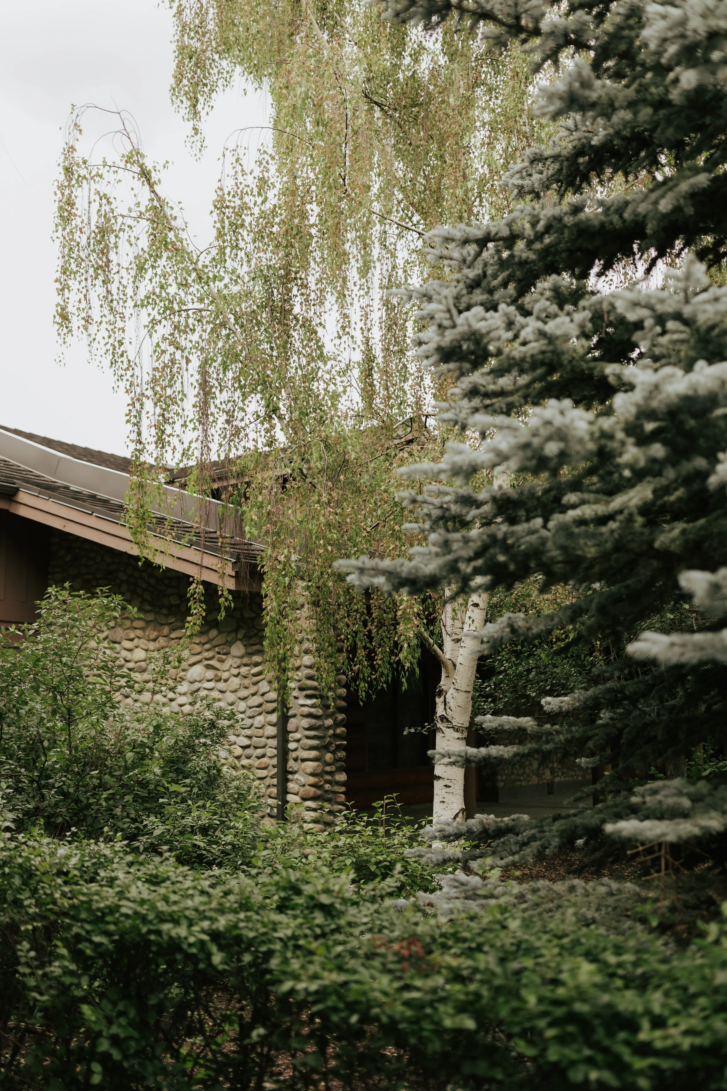 AlyssaWrightPhoto-CalgaryWedding-MaddieCasey-7.jpg