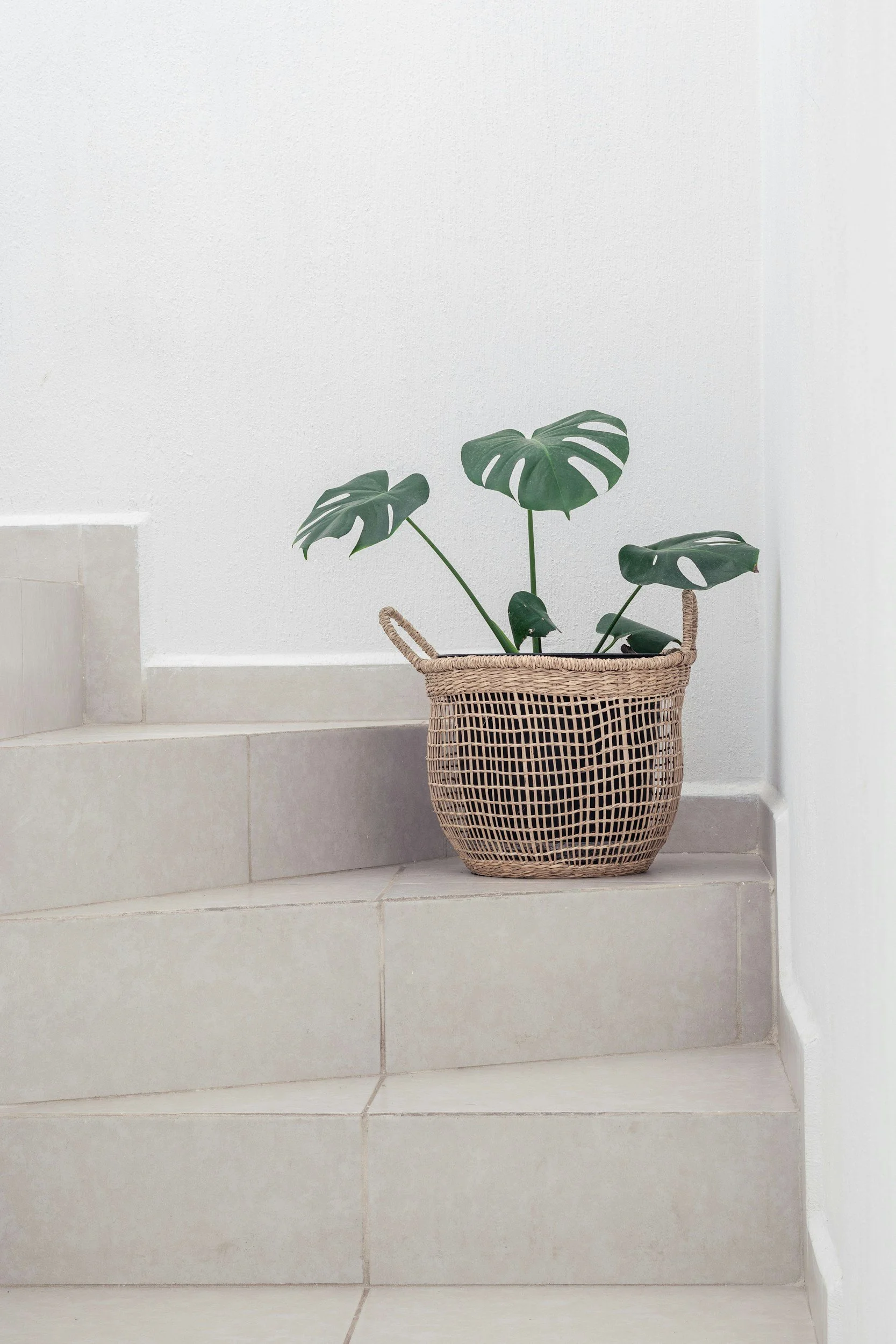 Neutral stone stairs with a basket and a plant in it.