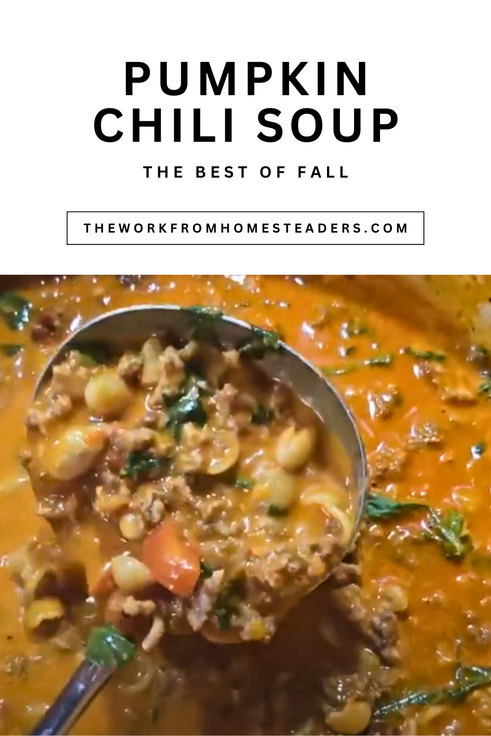 Cozy Pumpkin Chili Soup