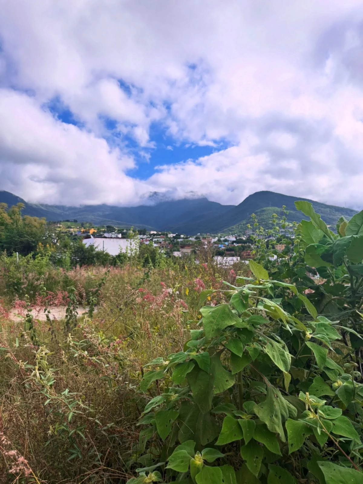 View on our typical morning walk, clouds and sunshine, hills of Oaxaca.