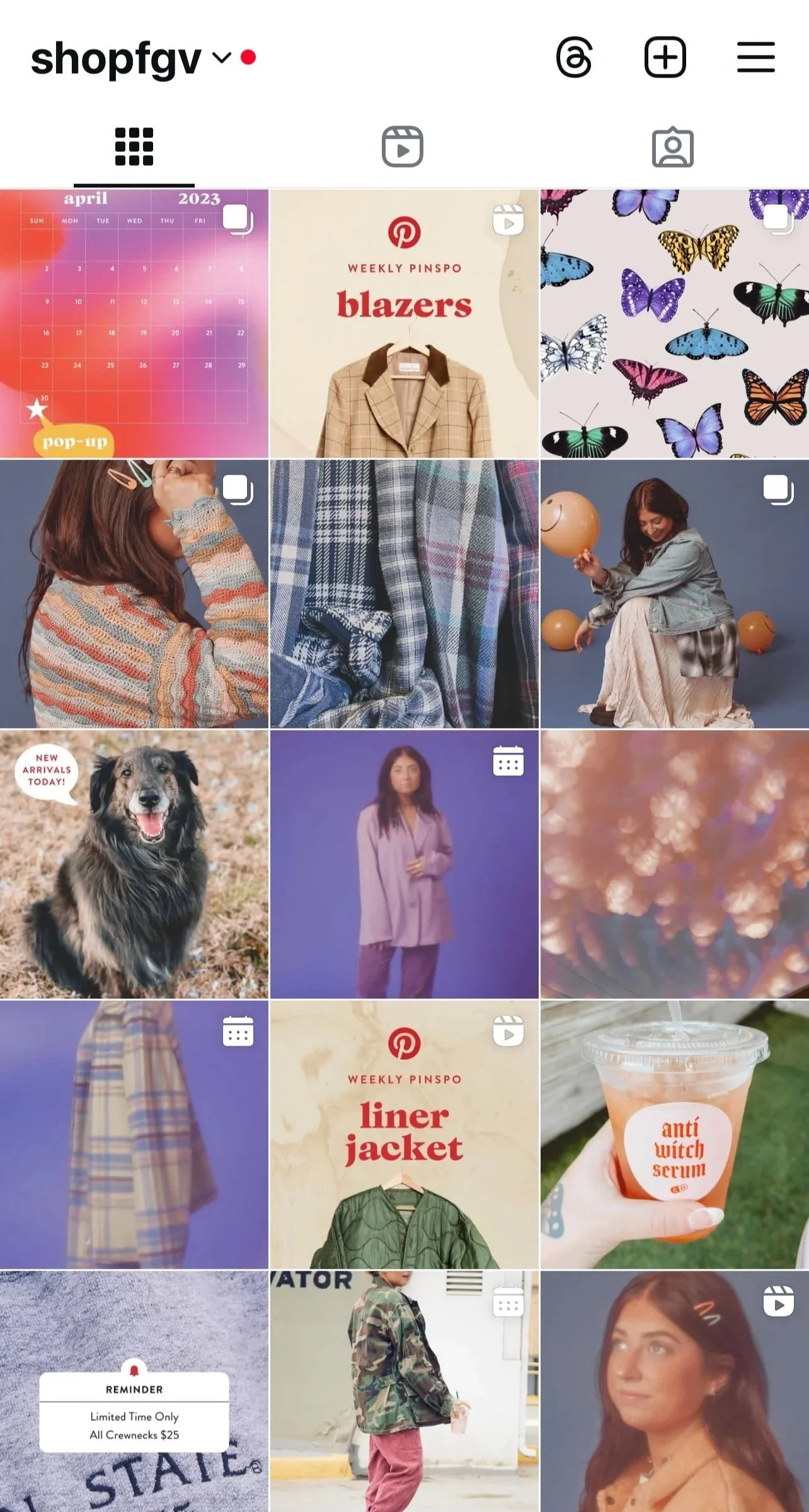 Instagram shop page with various fashion, pet, and lifestyle images, including clothing, a dog, a beverage, and a calendar.