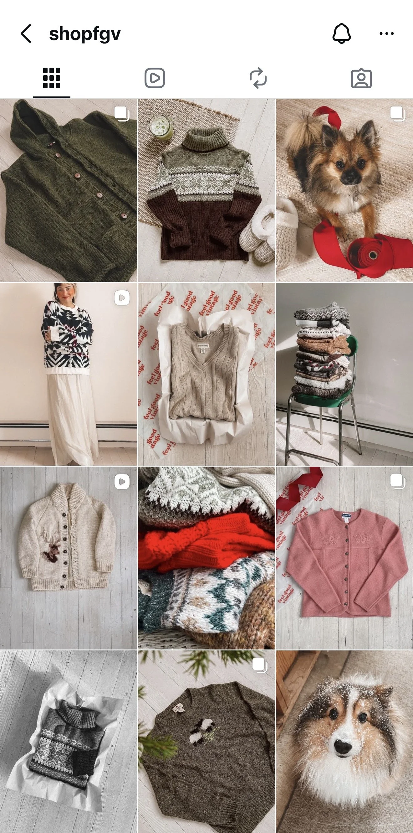 Collection of various sweaters, including a green zip-up, patterned turtleneck, cream cardigan with reindeer, pink cardigan, and a sweater with a dog design; a woman in a black and white patterned sweater and long skirt; a small dog with a red bow an