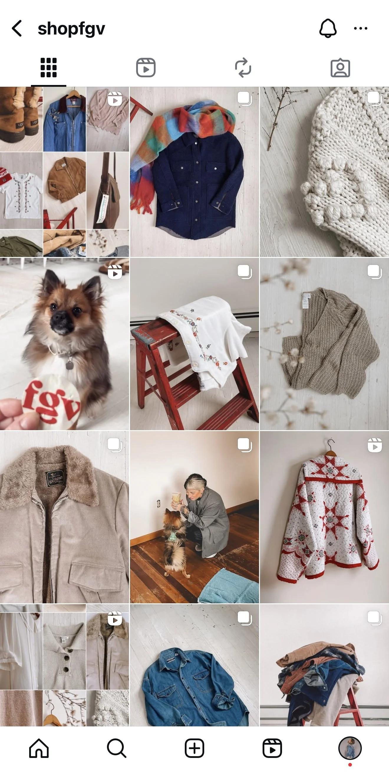 Instagram screenshot featuring clothing, a dog, and a person during a home activity.