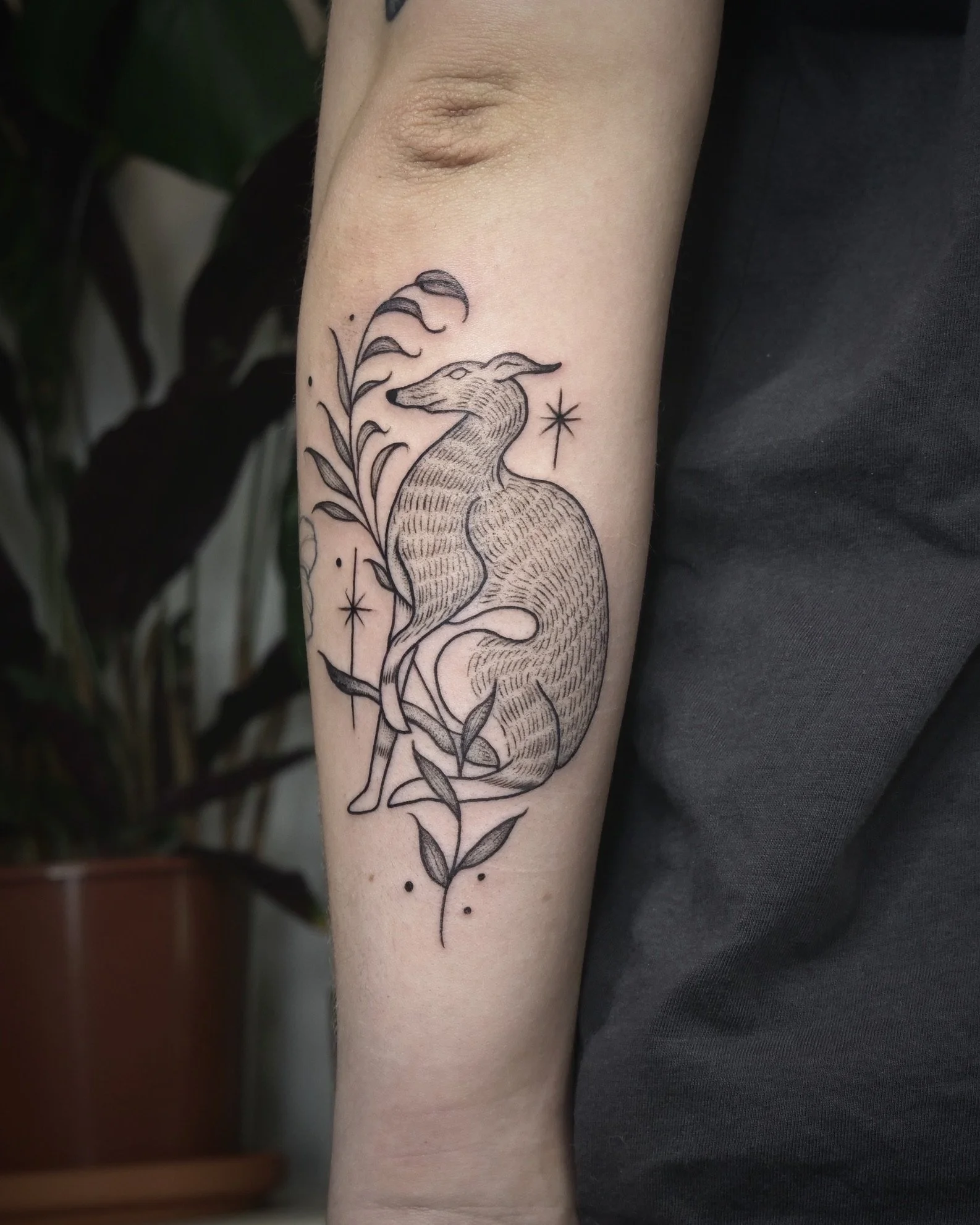 Tattoo of a kangaroo surrounded by leaves and star-like symbols on a person's arm.