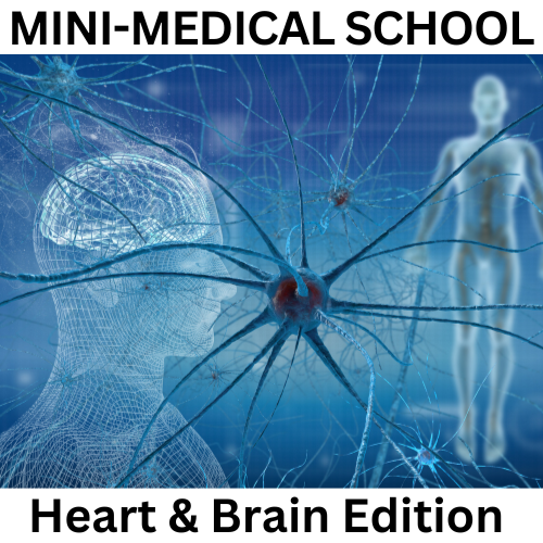 MINI_MEDICAL+SCHOOL.png