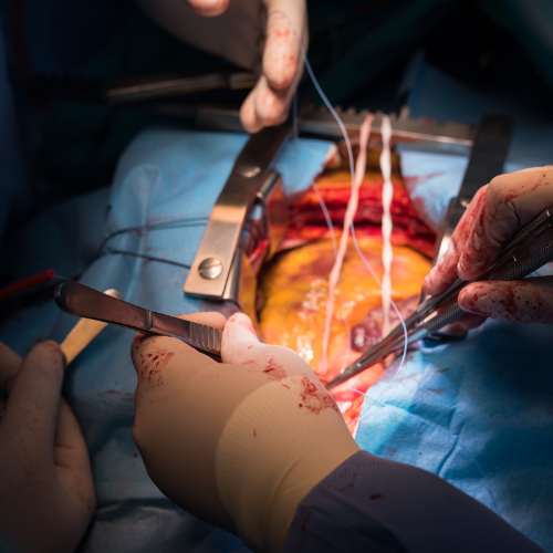 FPA Trauma and Surgical Skills - (Grades 9-12)