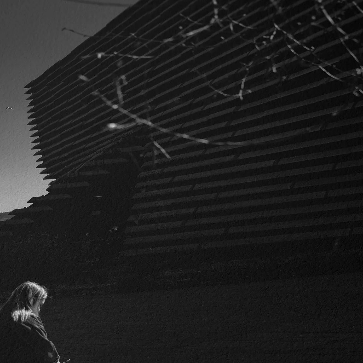 Trace — Structural Detail.jpg