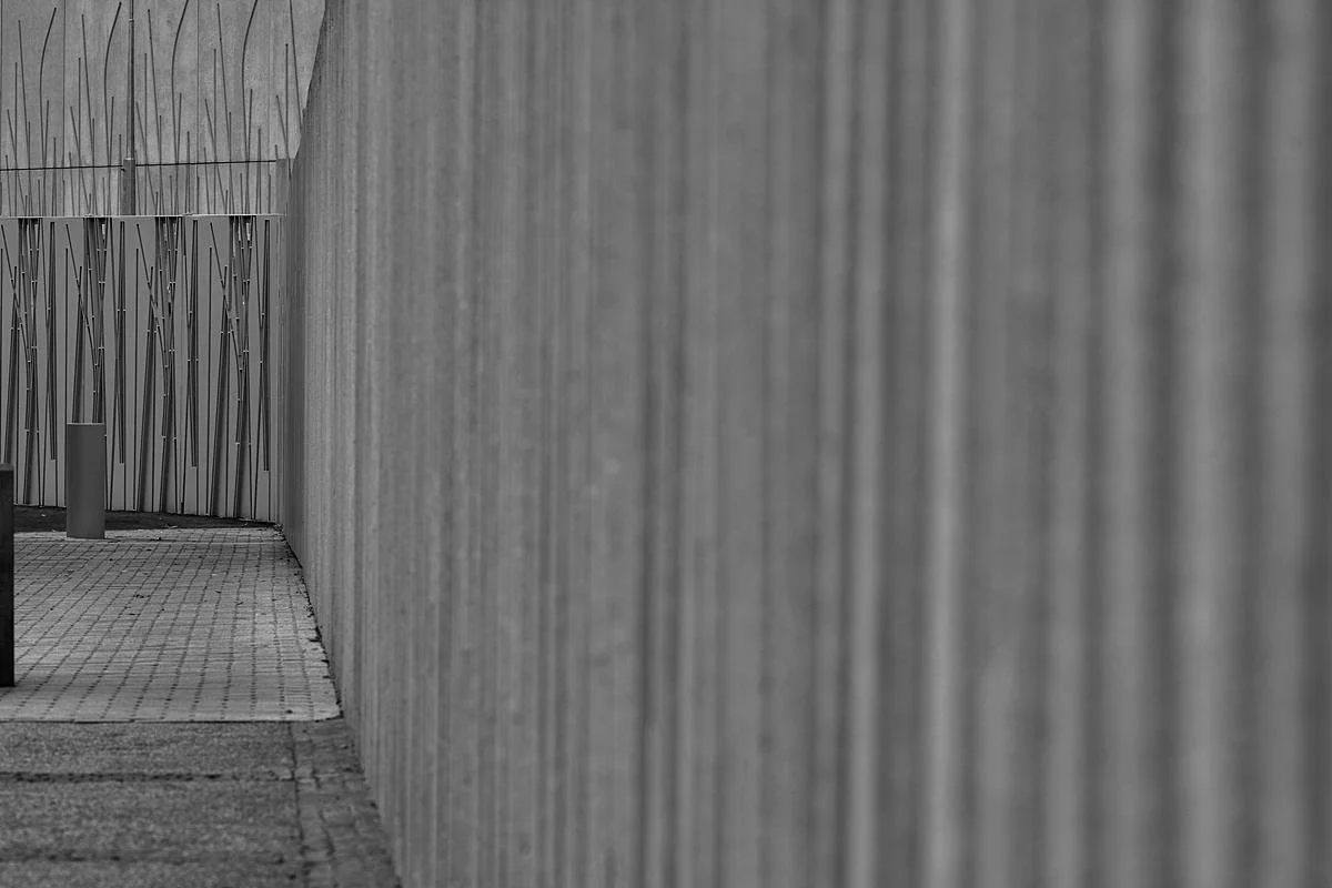 scottish parliament black and white portait-02.jpg
