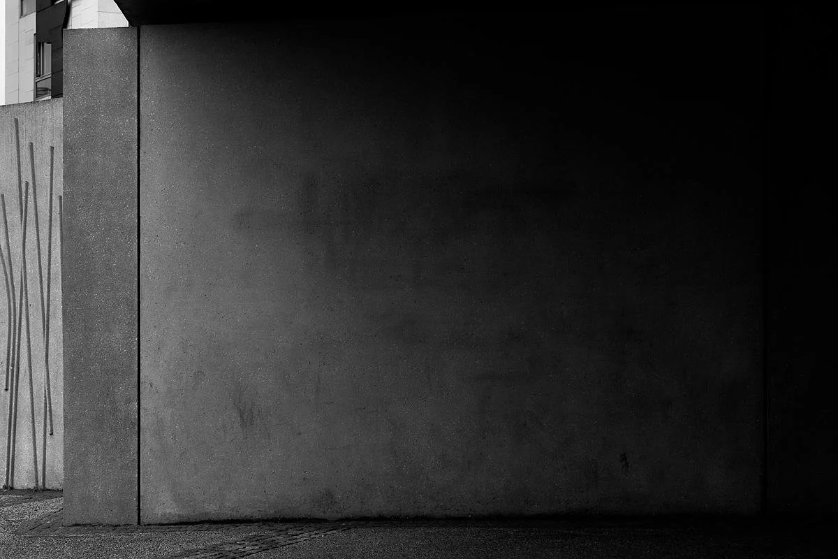 scottish parliament black and white portait-04.jpg