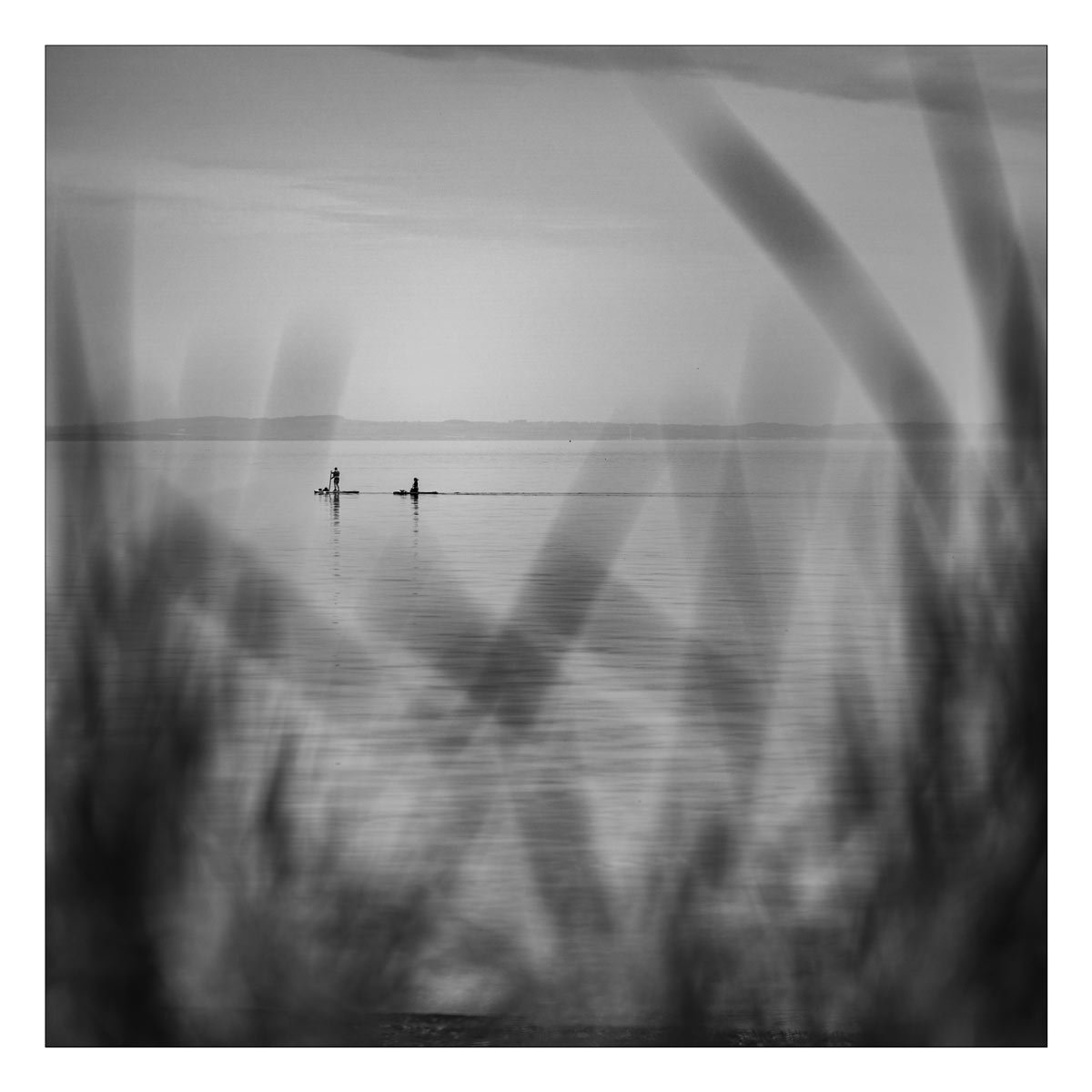 Black and white minimalist coastal photograph showing two paddleboarders crossing calm water framed by soft foreground grass.
