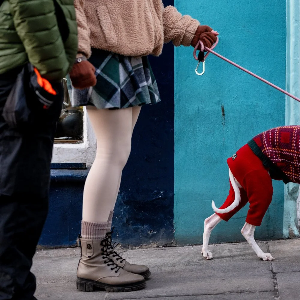 Street photograph of a dog wearing red pants on a city street, with a girl in a tartan skirt, boots and tights holding the leash.