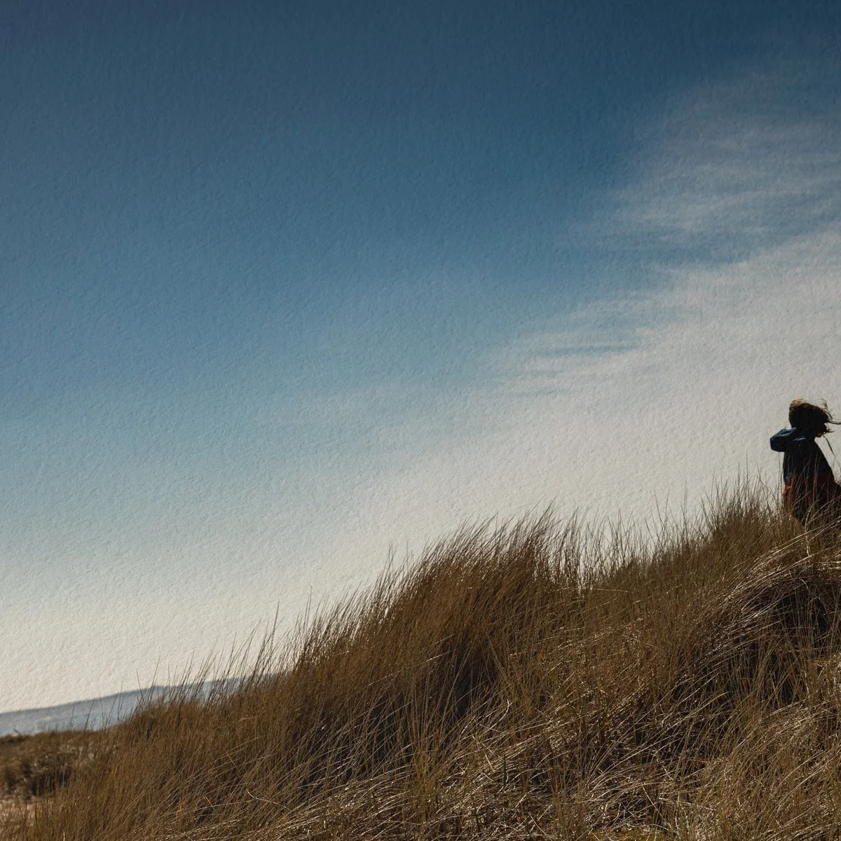 Close-up view of tall coastal grass and a small figure walking through sand dunes on a Scottish beach.
